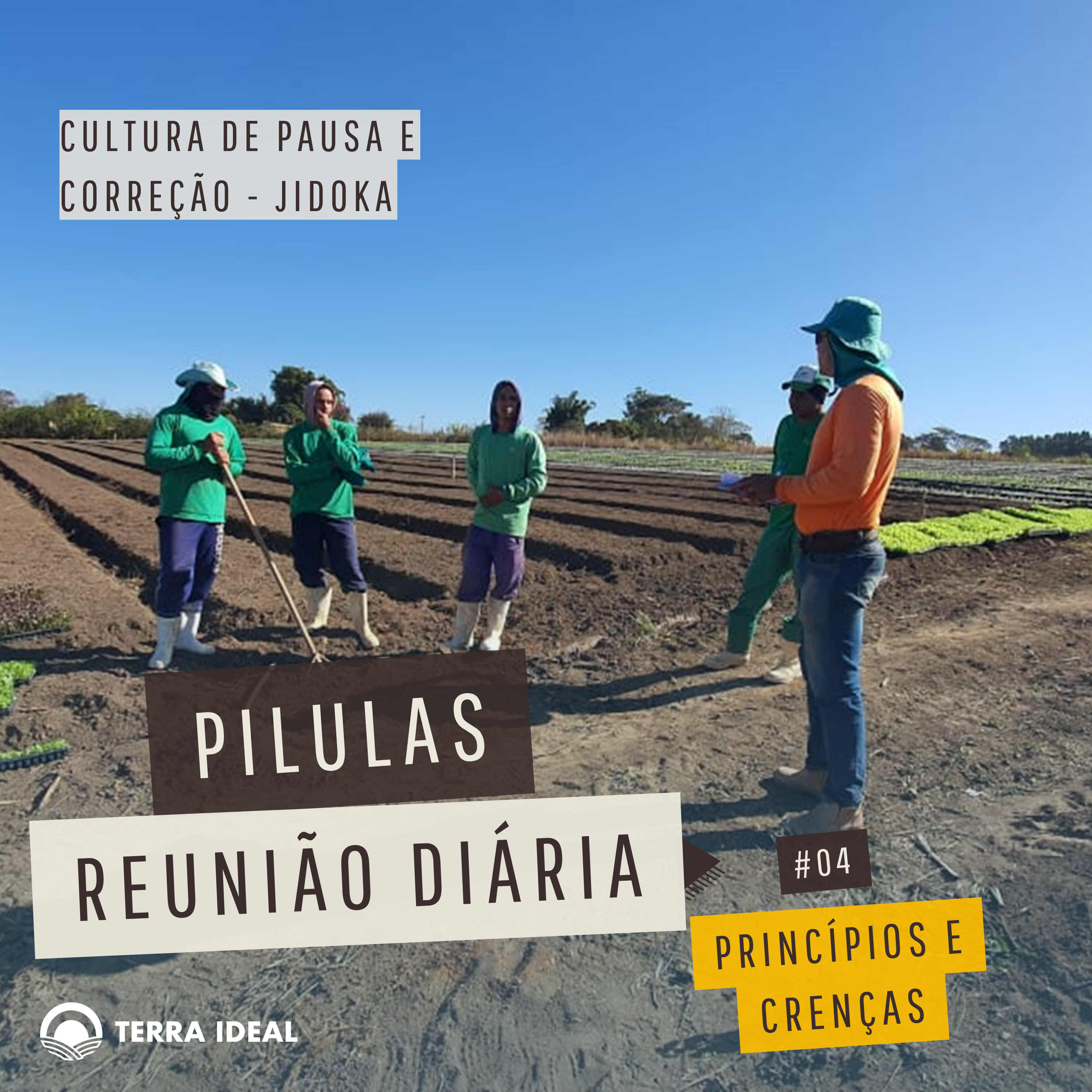 Aqui tem Gerencia - Escola Coop. Terra Lean
