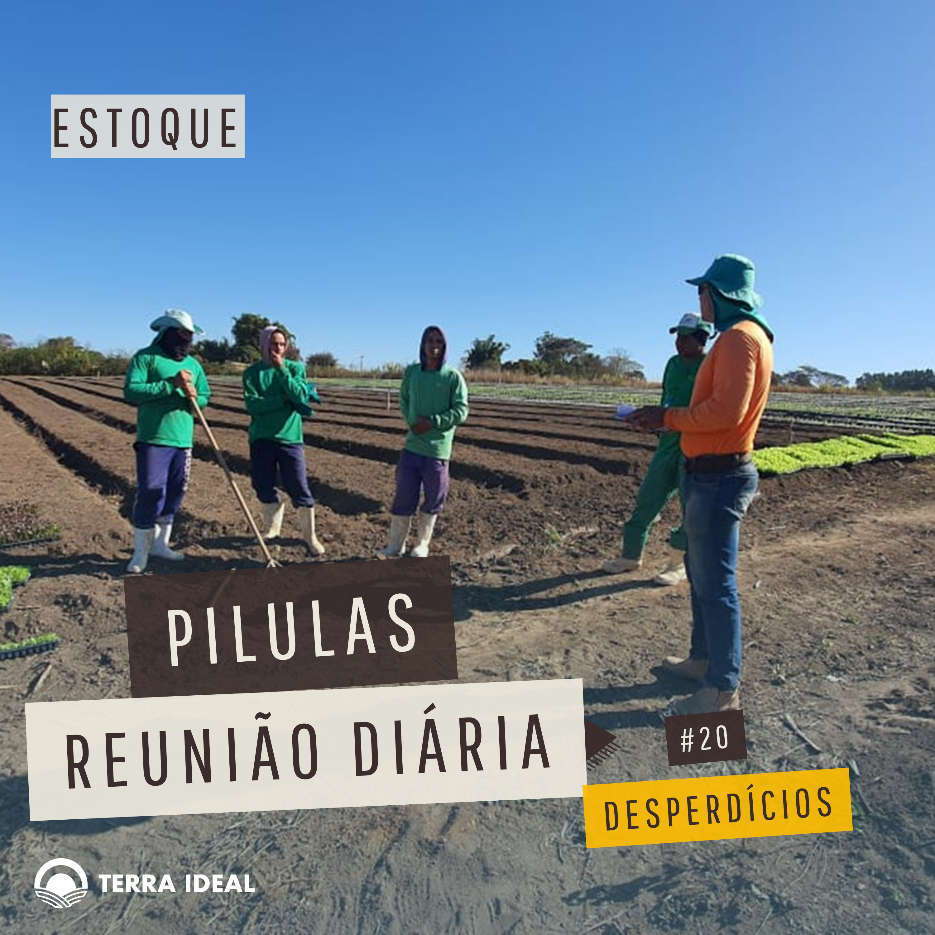 Aqui tem Gerencia - Escola Coop. Terra Lean