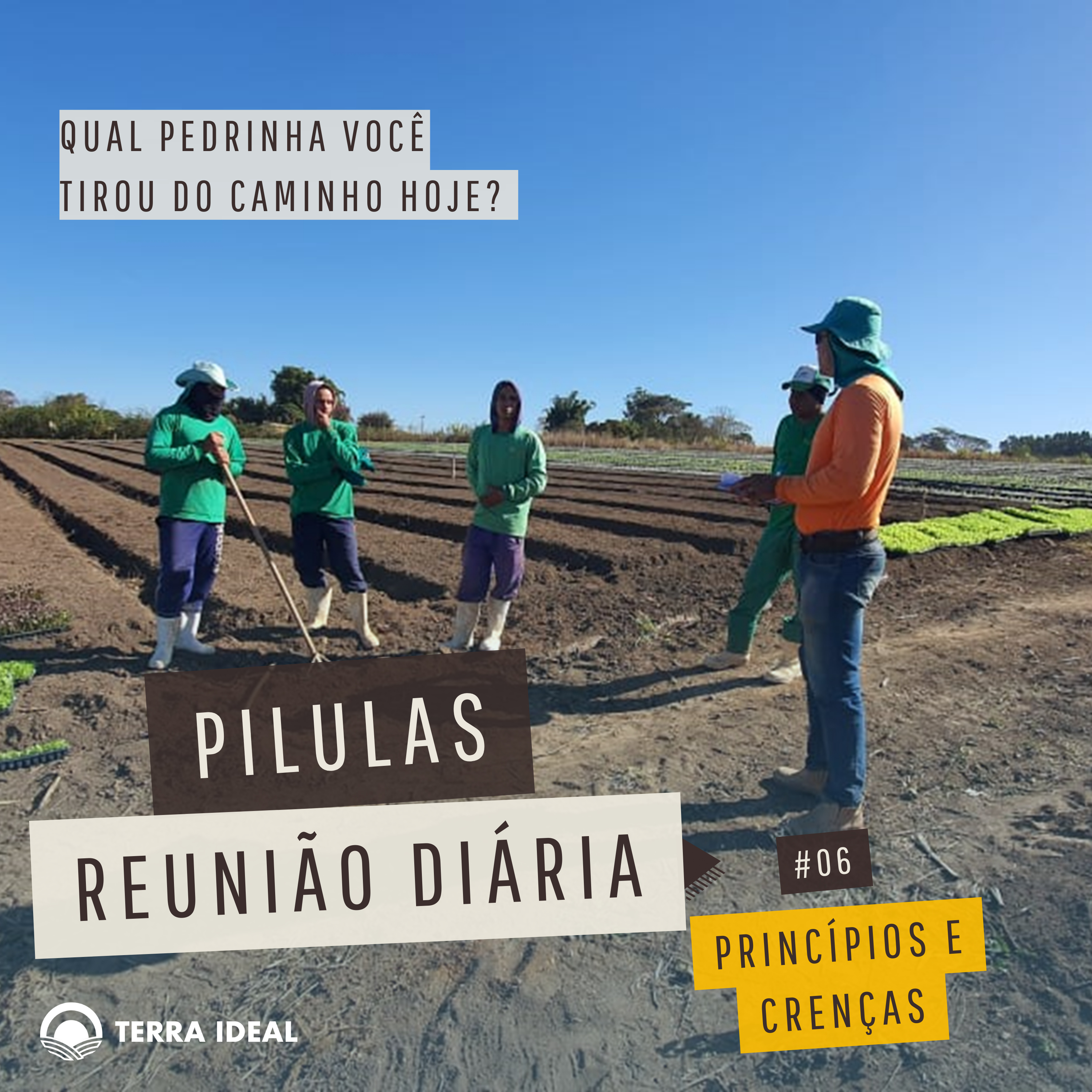 Aqui tem Gerencia - Escola Coop. Terra Lean