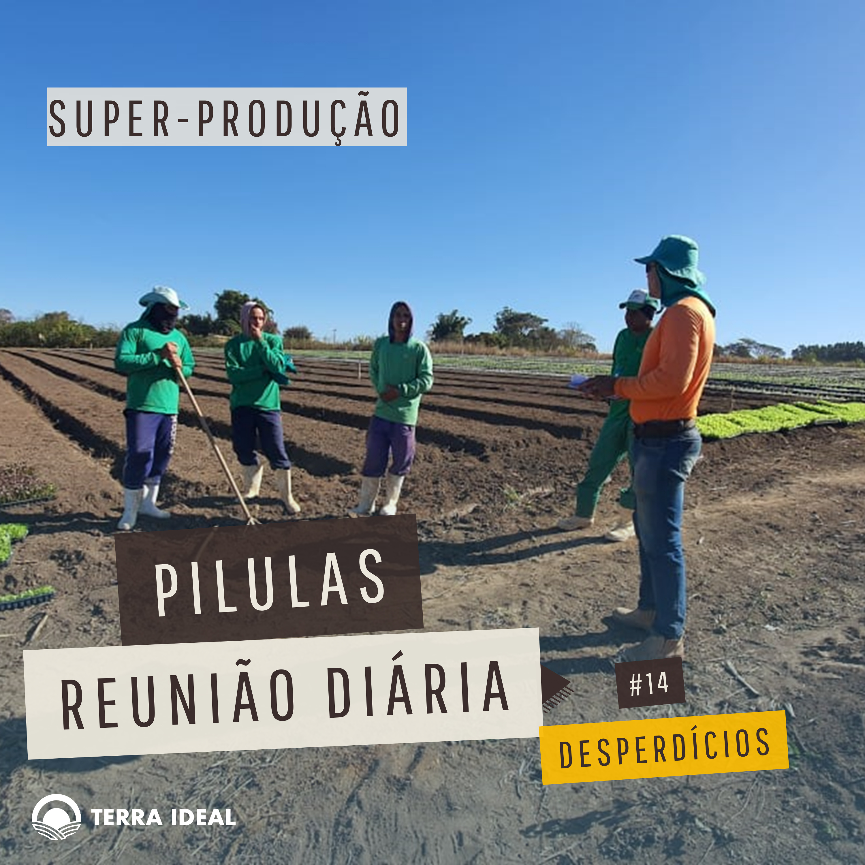 Aqui tem Gerencia - Escola Coop. Terra Lean