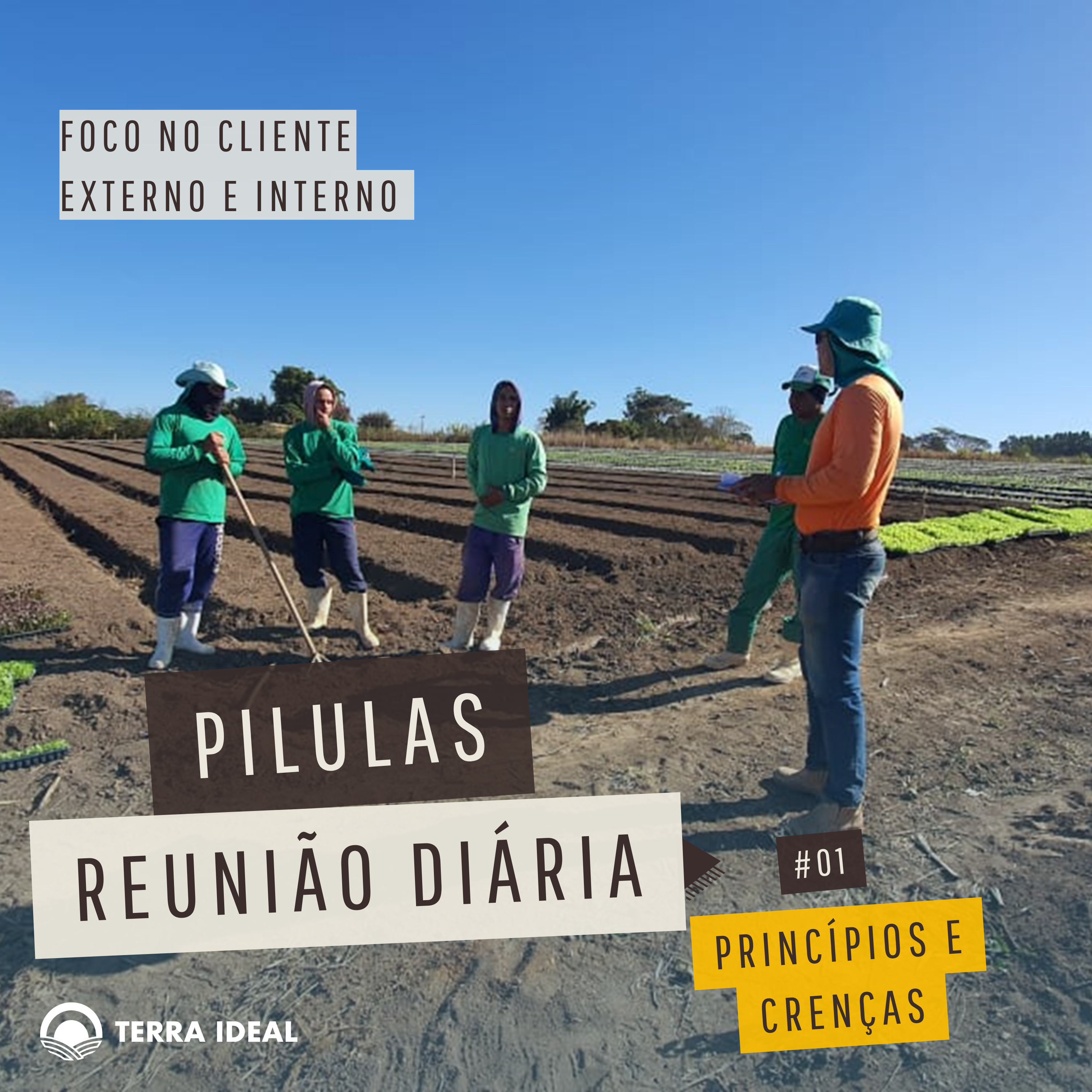 Aqui tem Gerencia - Escola Coop. Terra Lean