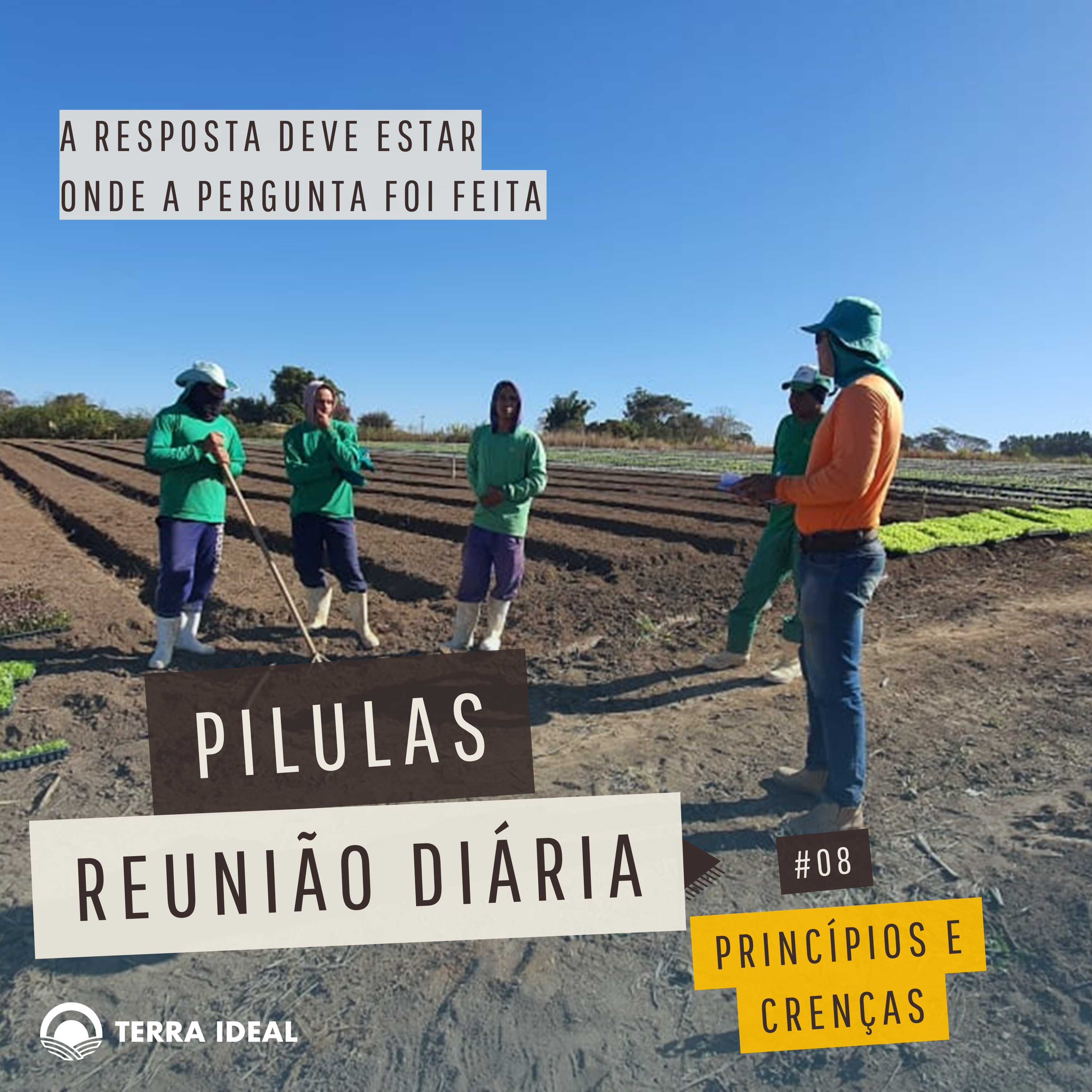 Aqui tem Gerencia - Escola Coop. Terra Lean
