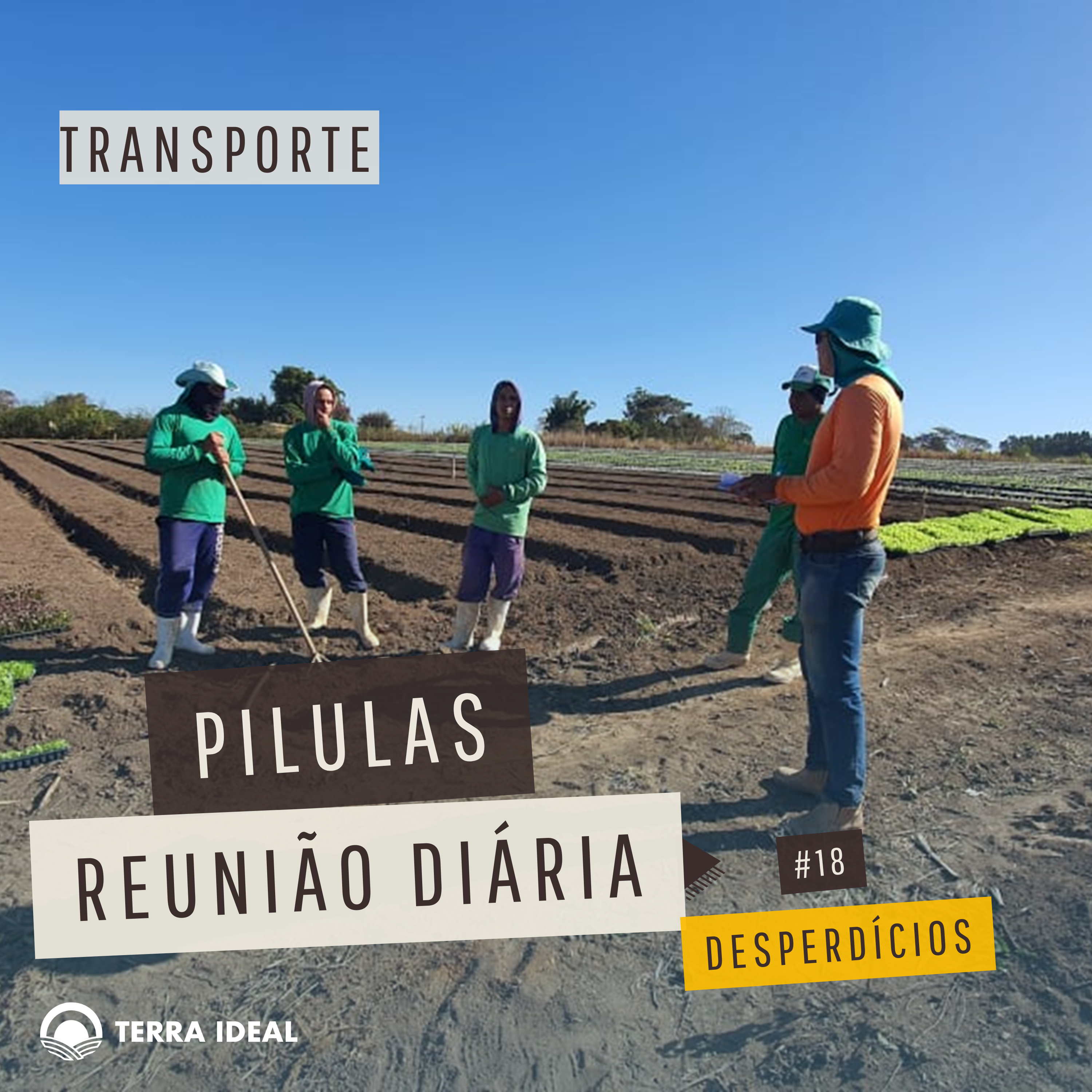 Aqui tem Gerencia - Escola Coop. Terra Lean
