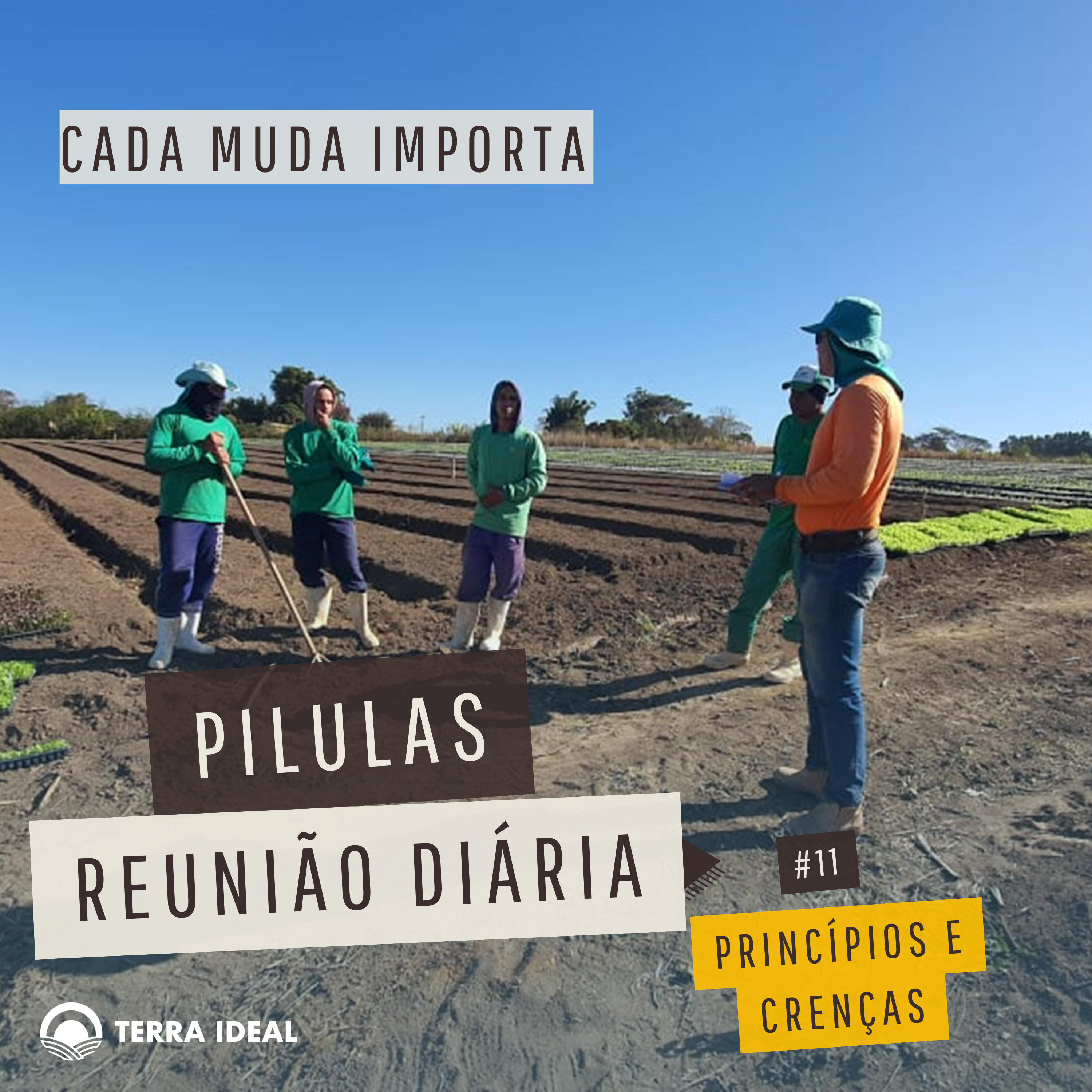 Aqui tem Gerencia - Escola Coop. Terra Lean