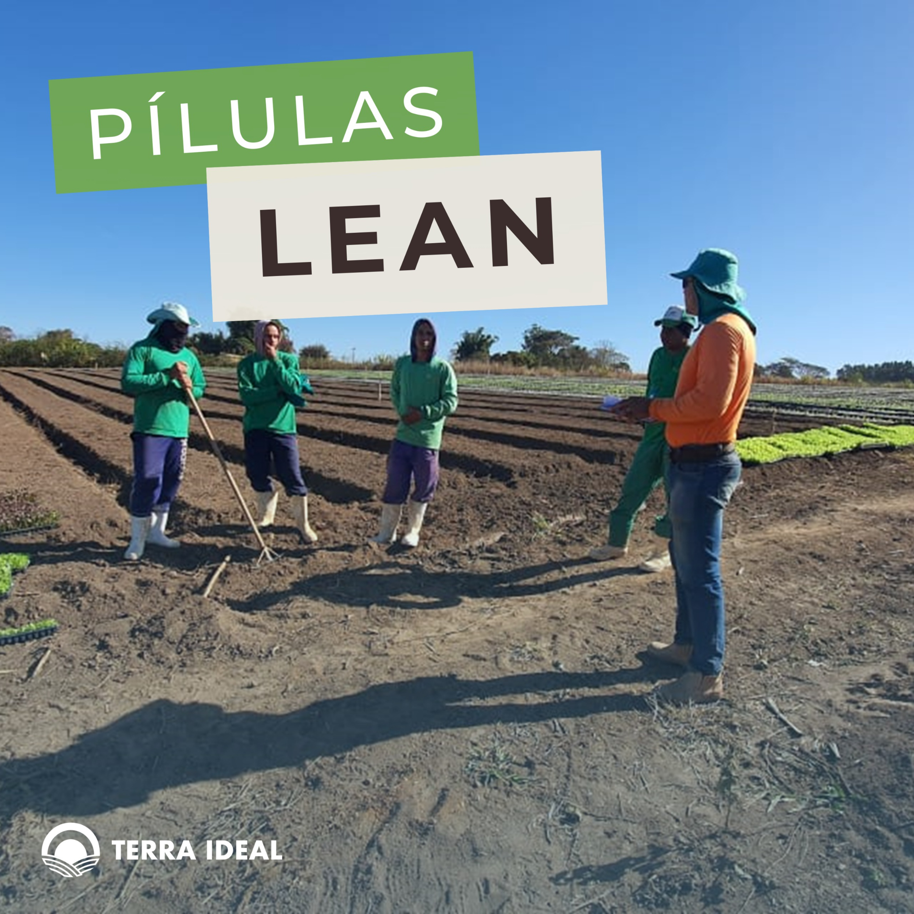 Aqui tem Gerencia - Escola Coop. Terra Lean