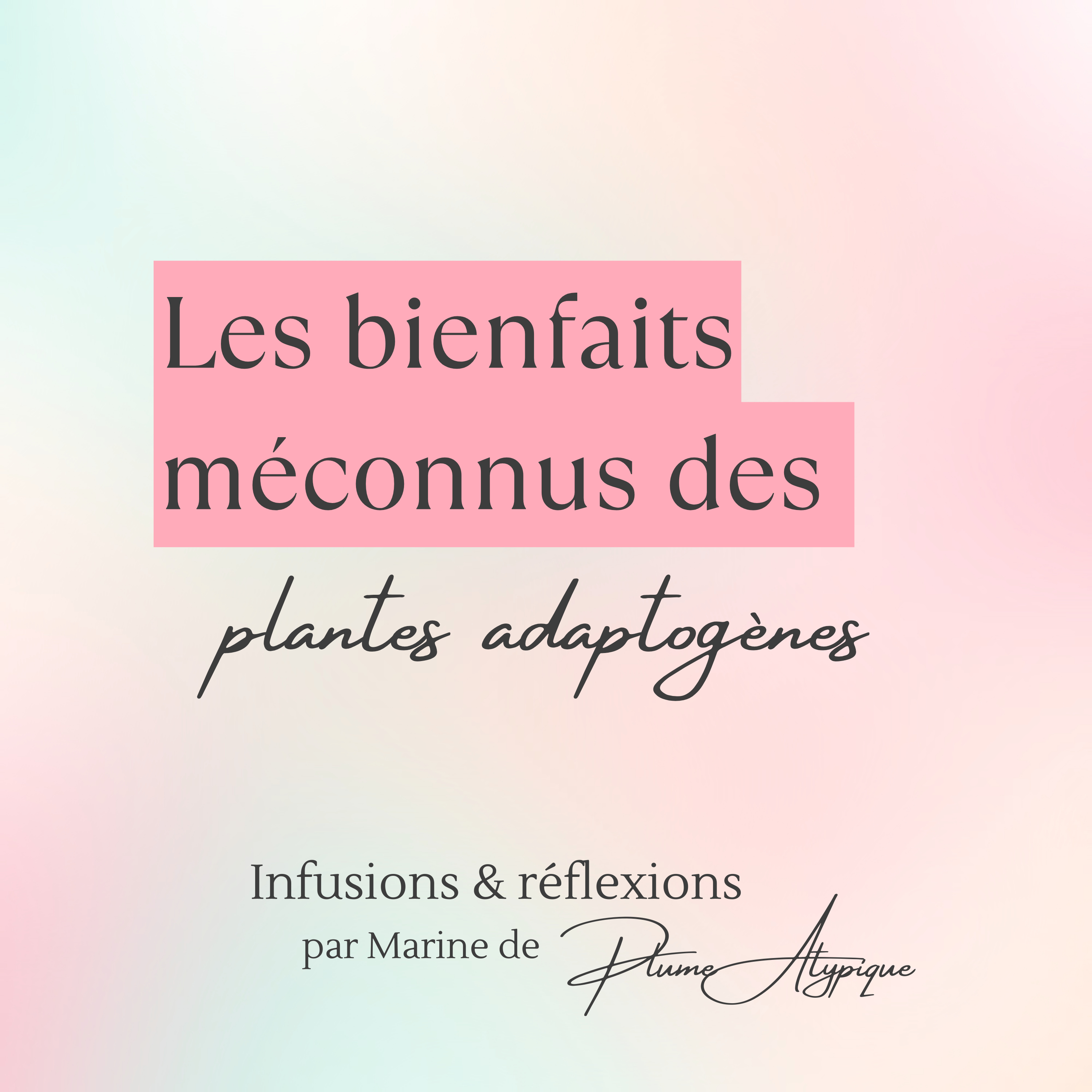 Infusions et Réflexions