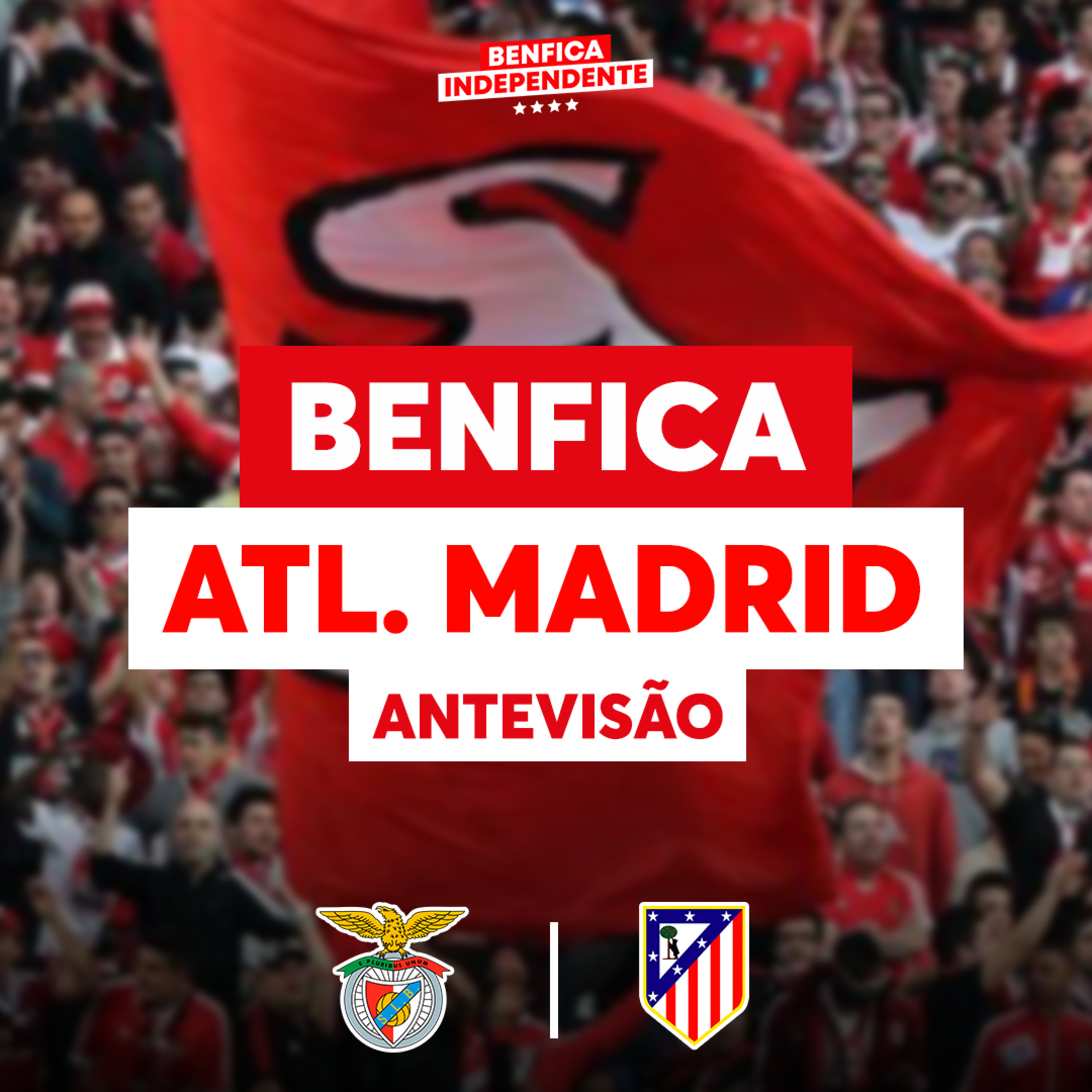 BENFICA X Atlético de Madrid | ANTEVISÃO JOGO 2 (Liga dos Campeões)