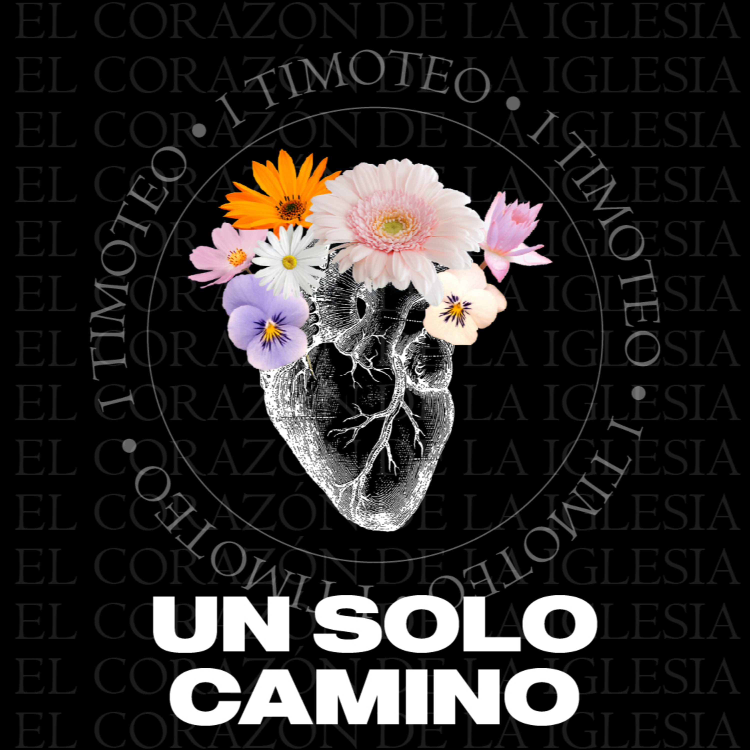 Un solo camino episode artwork