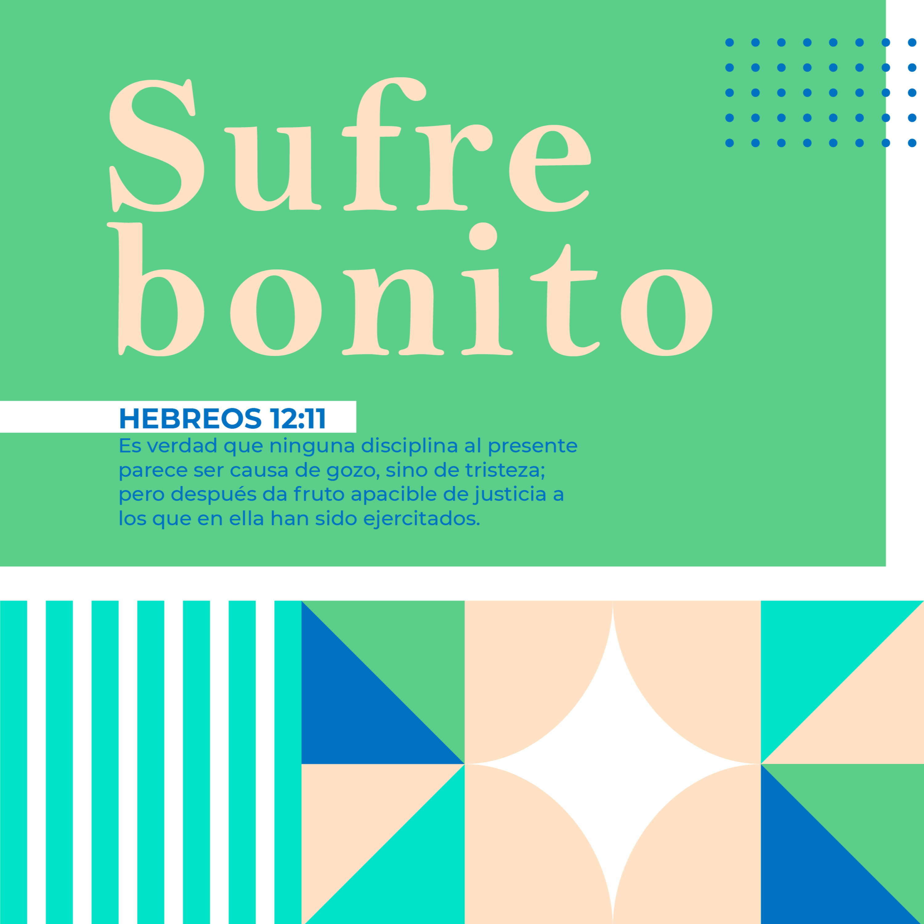 Tribu VN Norte - Conferencias