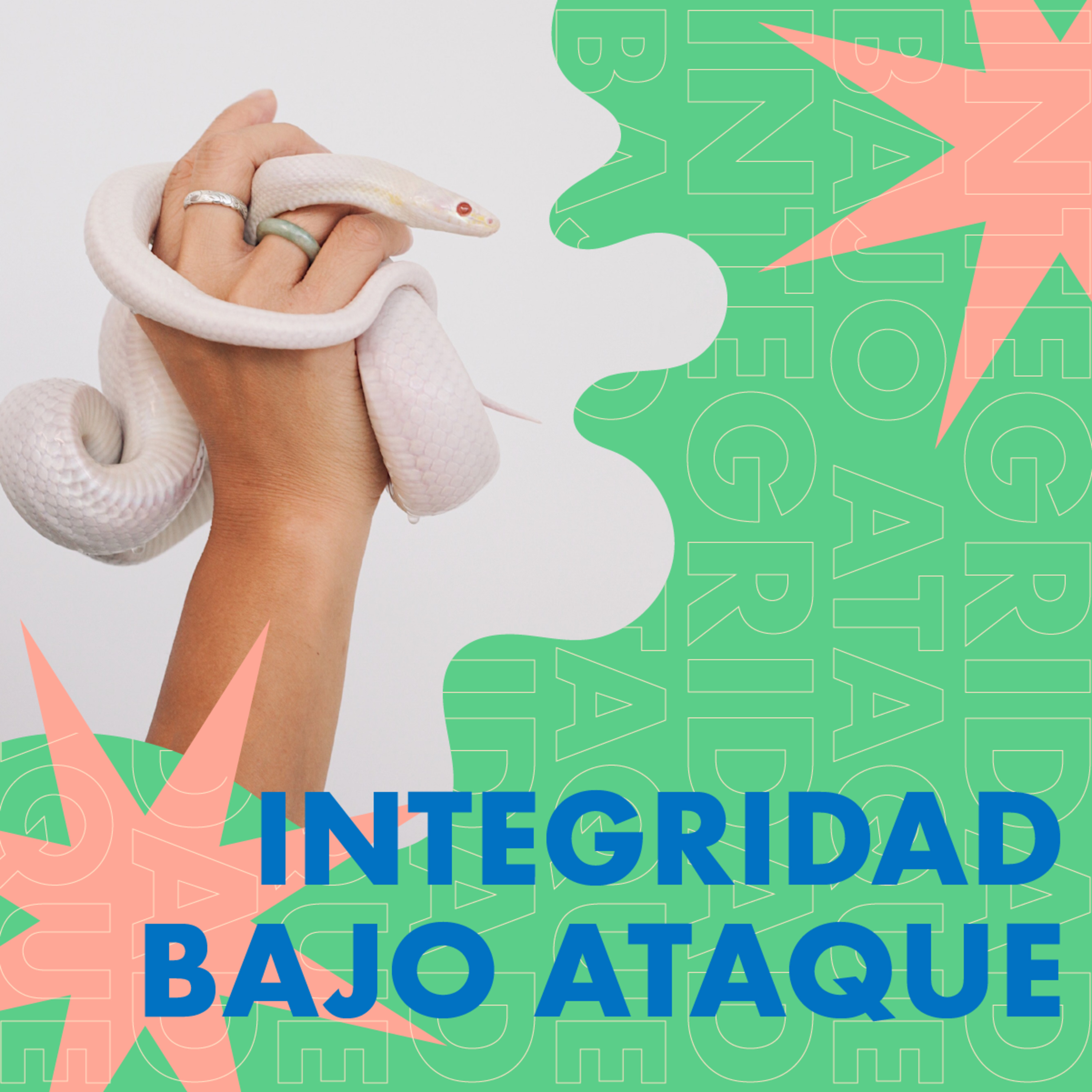 Tribu VN Norte - Conferencias