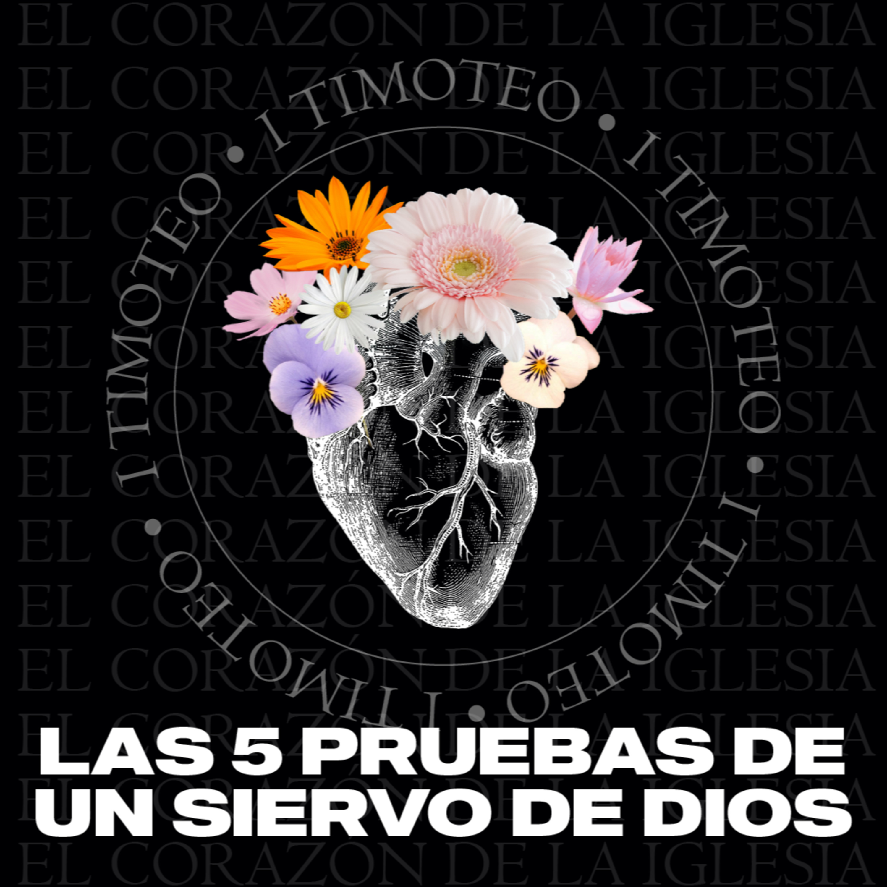 Tribu VN Norte - Conferencias