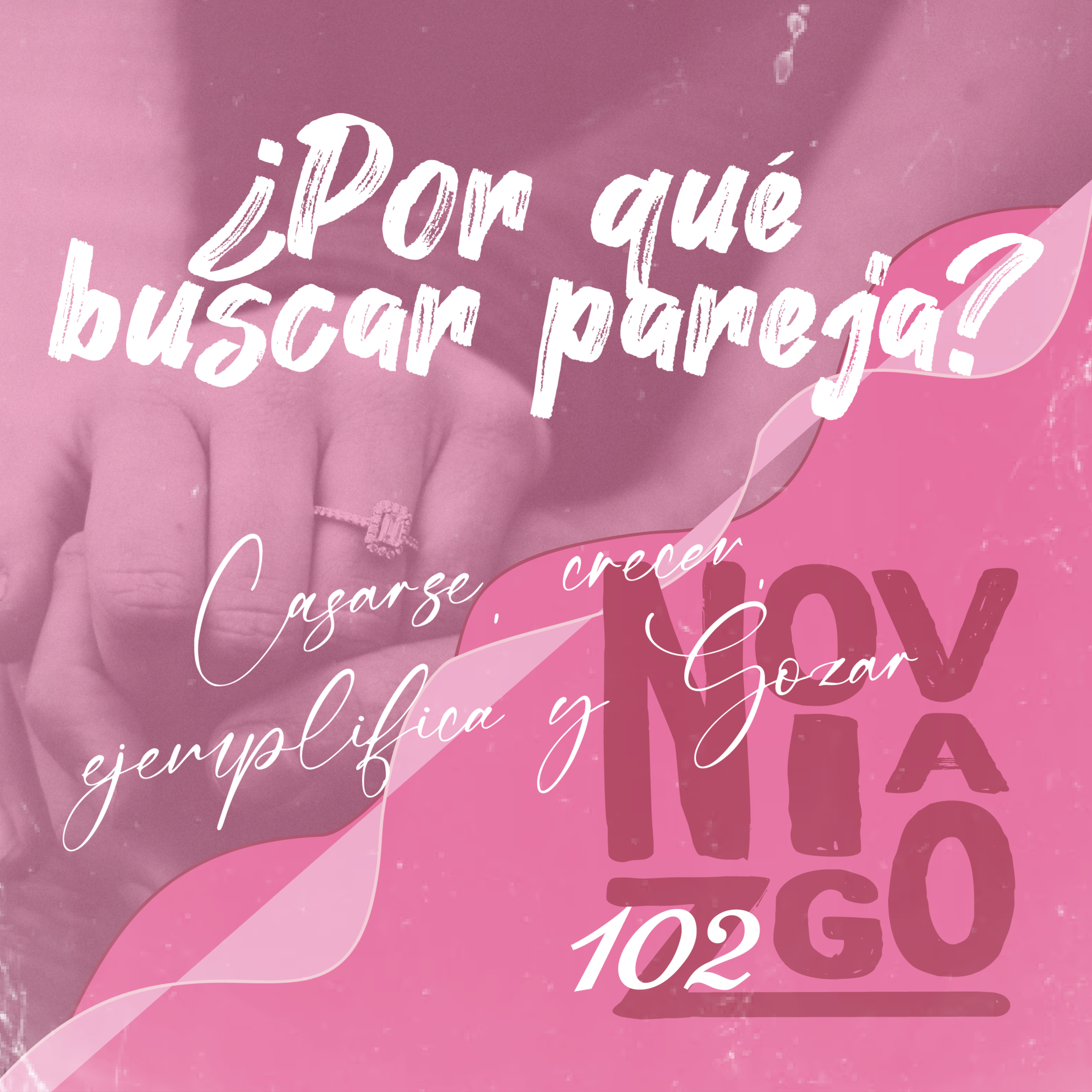Tribu VN Norte - Conferencias