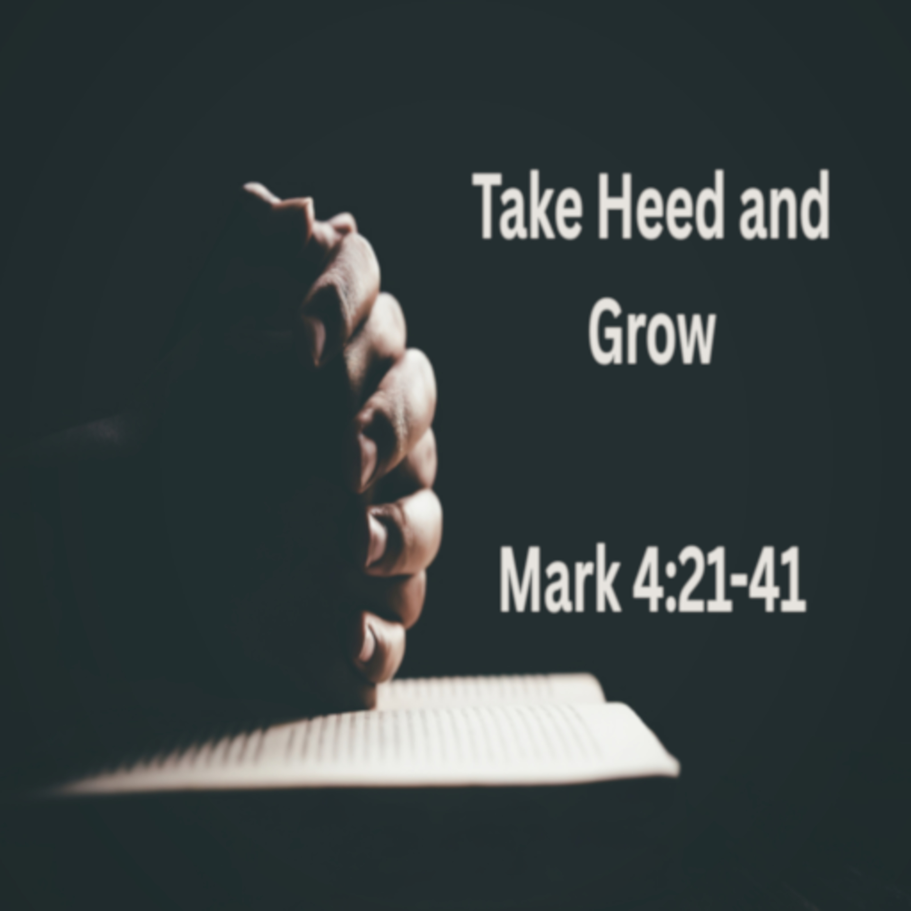 Take Heed and Grow - Mark 4:21-41 episode artwork