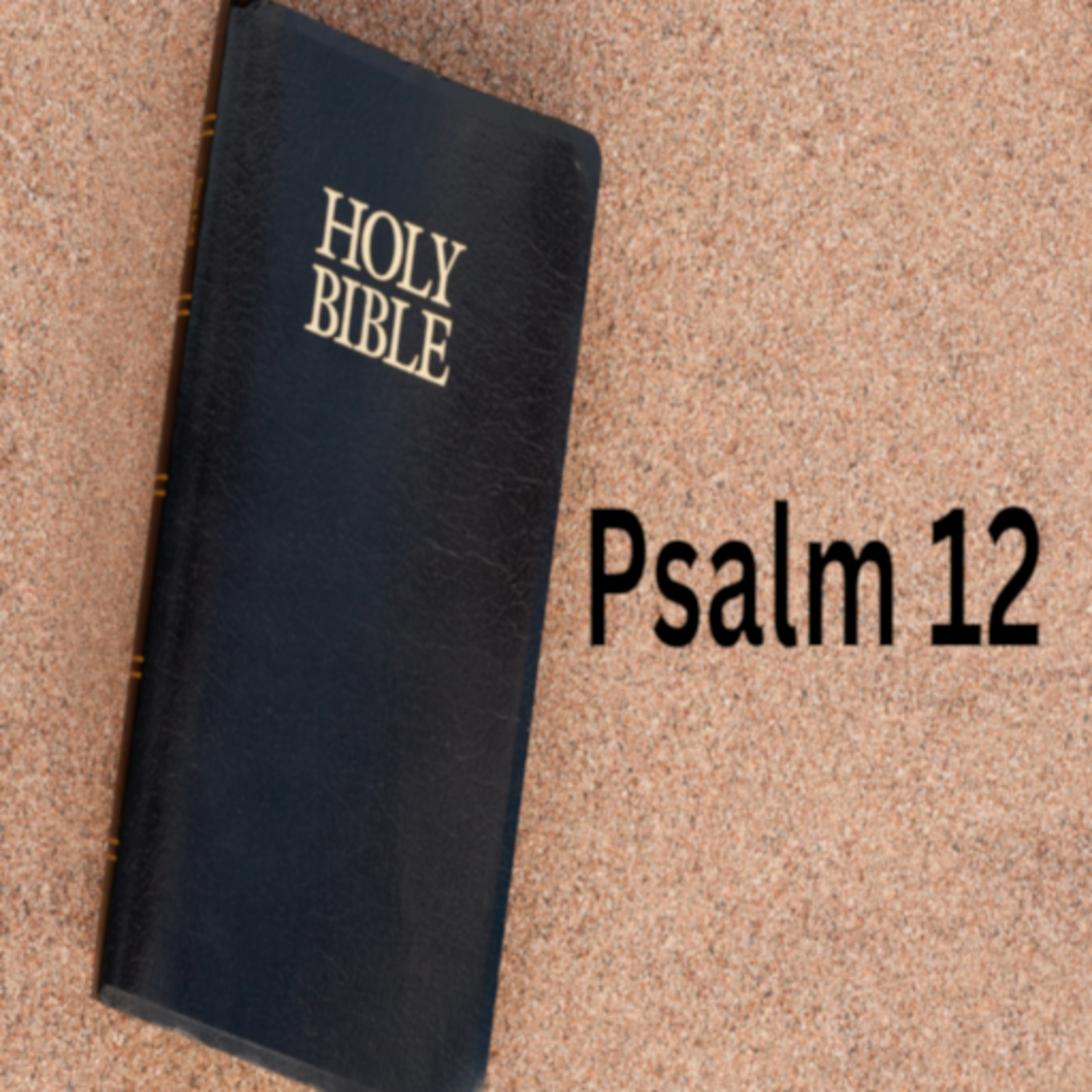 Psalm 12 episode artwork