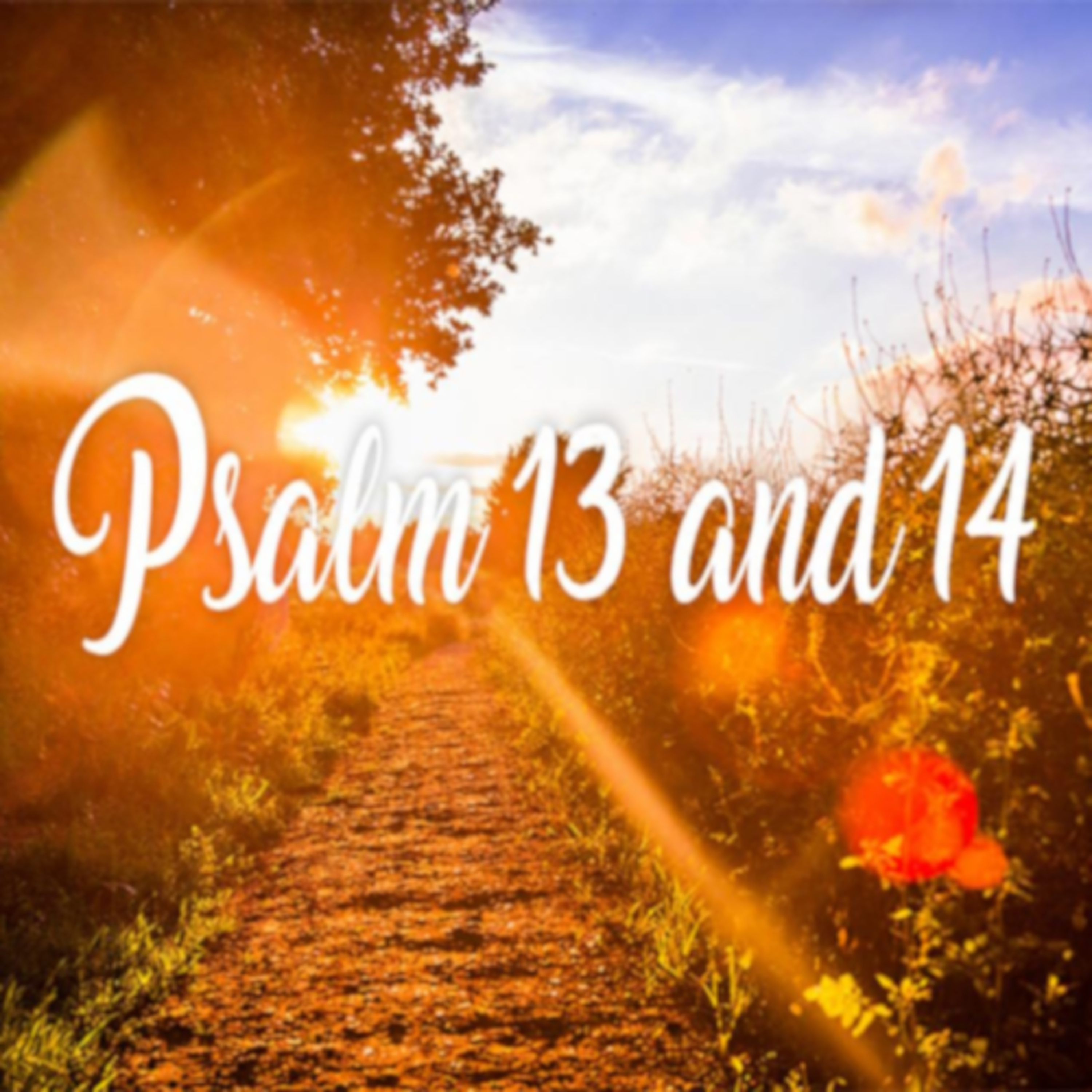 Psalm 13-14 episode artwork