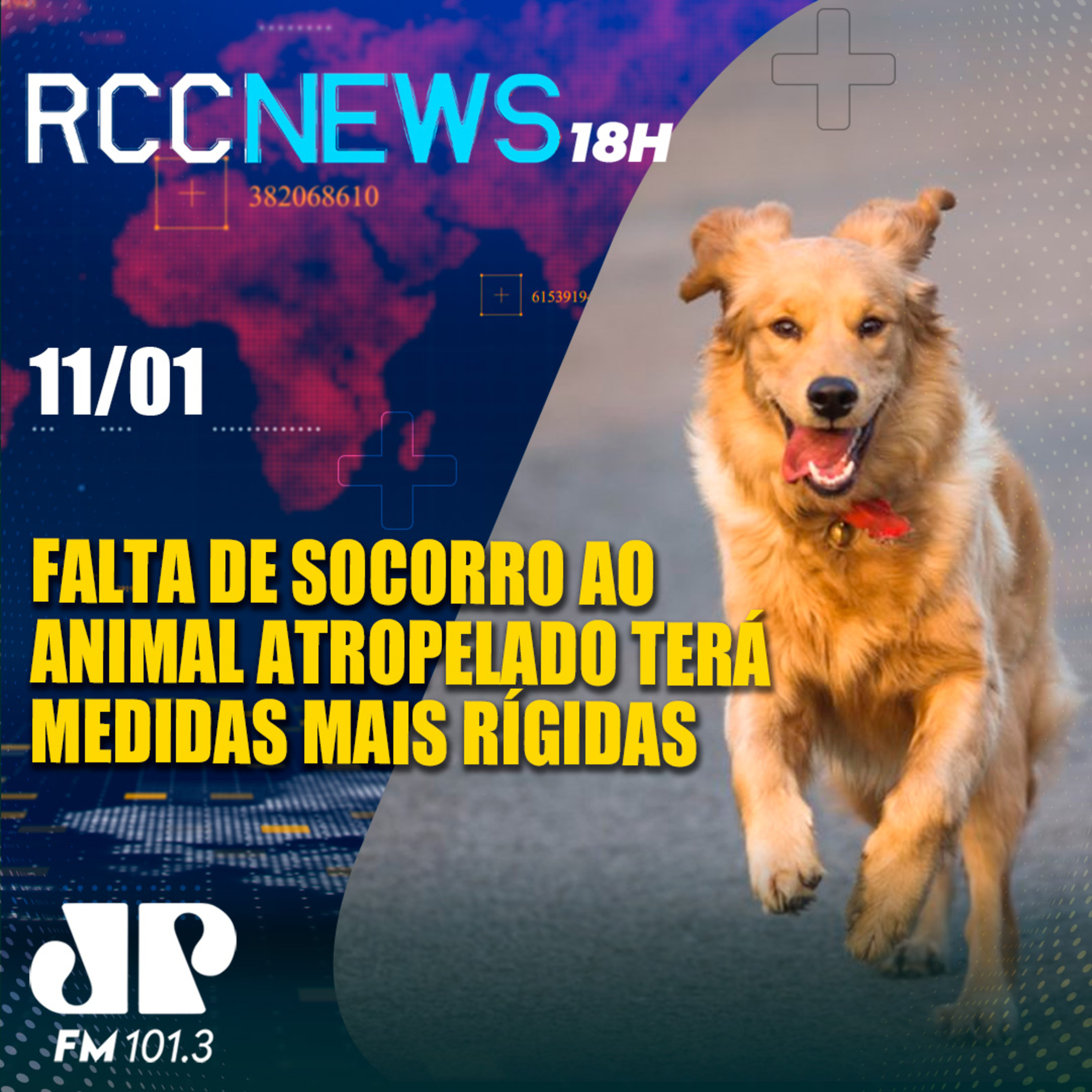 Falta de socorro ao animal atropelado terá consequências mais rígidas episode artwork