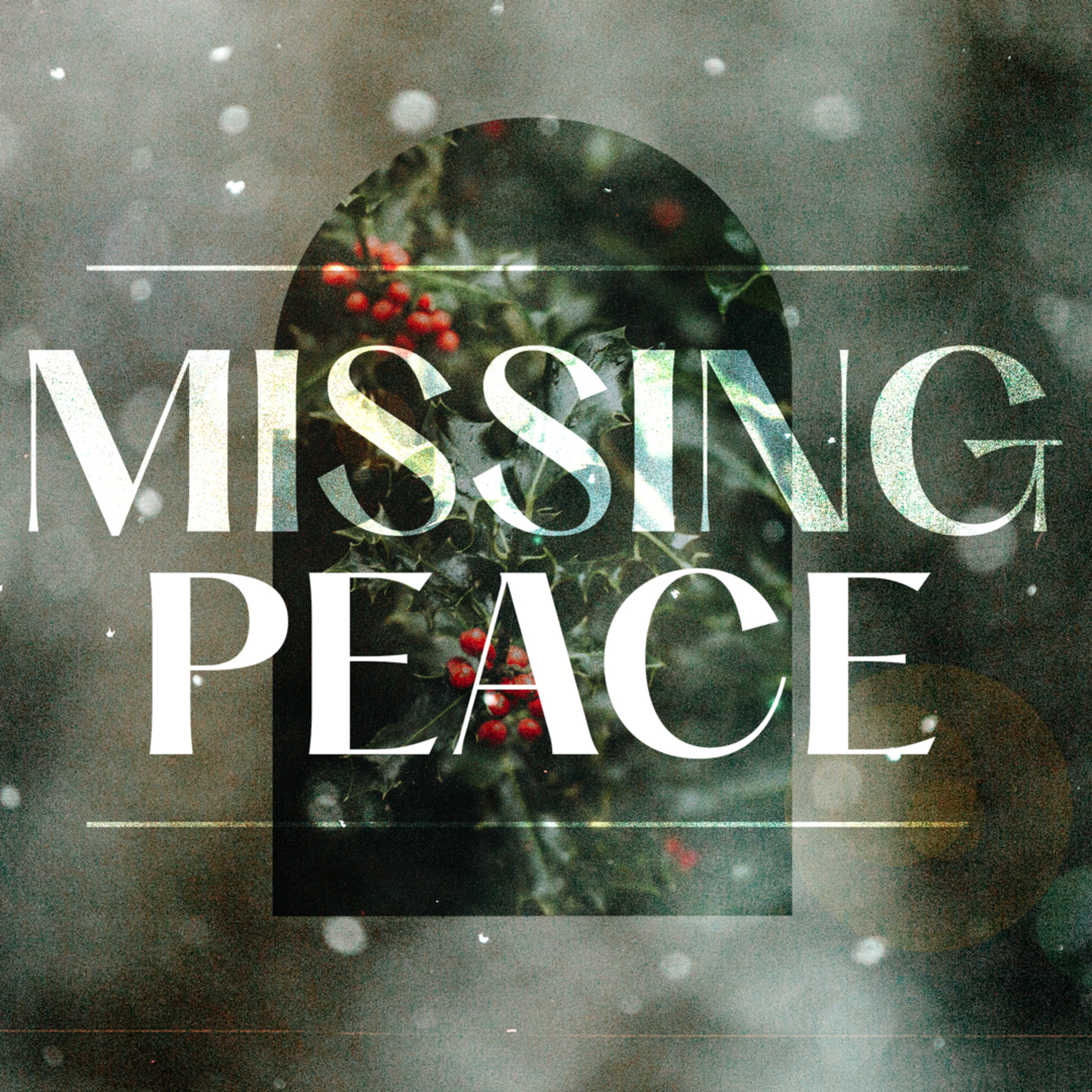 Missing Peace (C) episode artwork