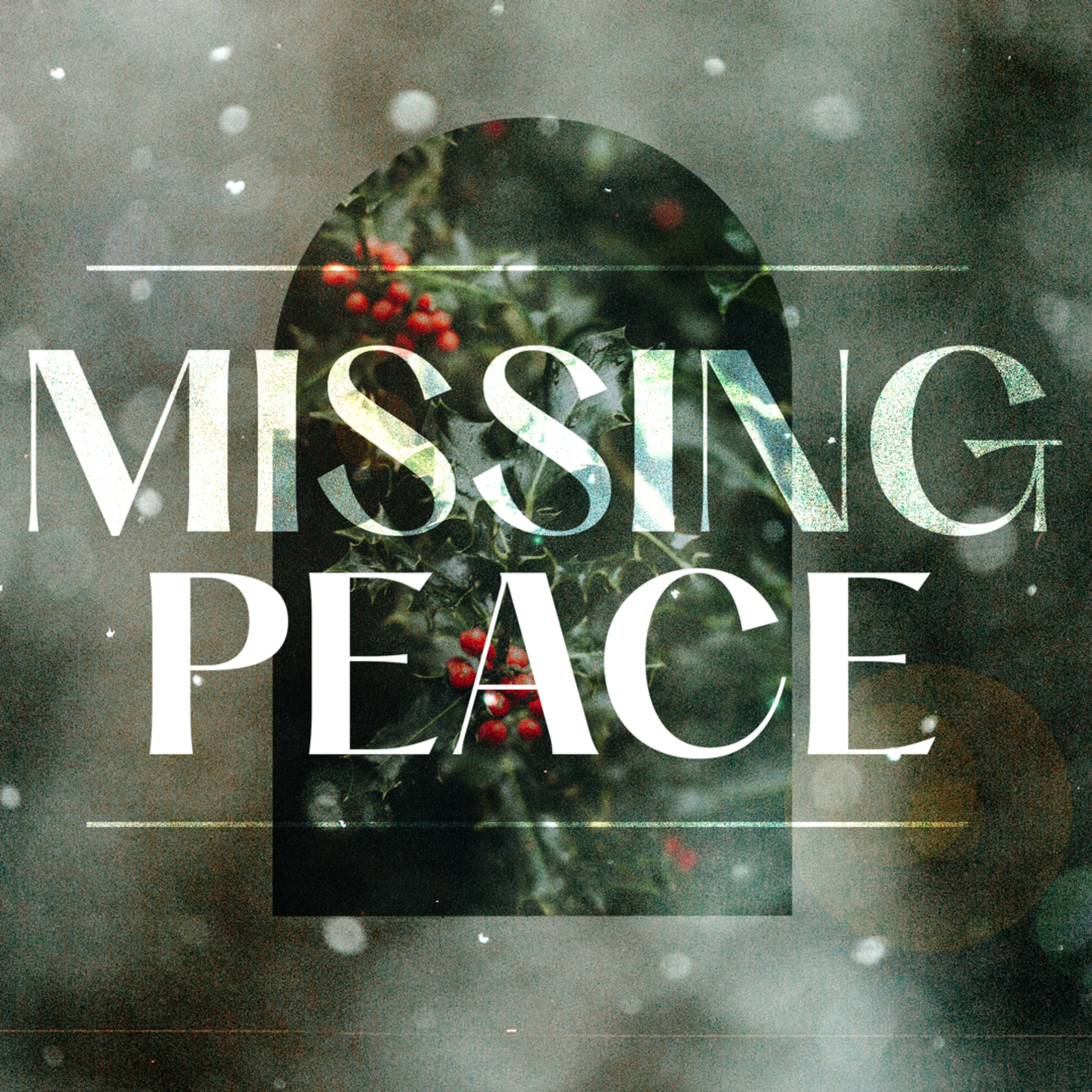 Missing Peace (C) episode artwork