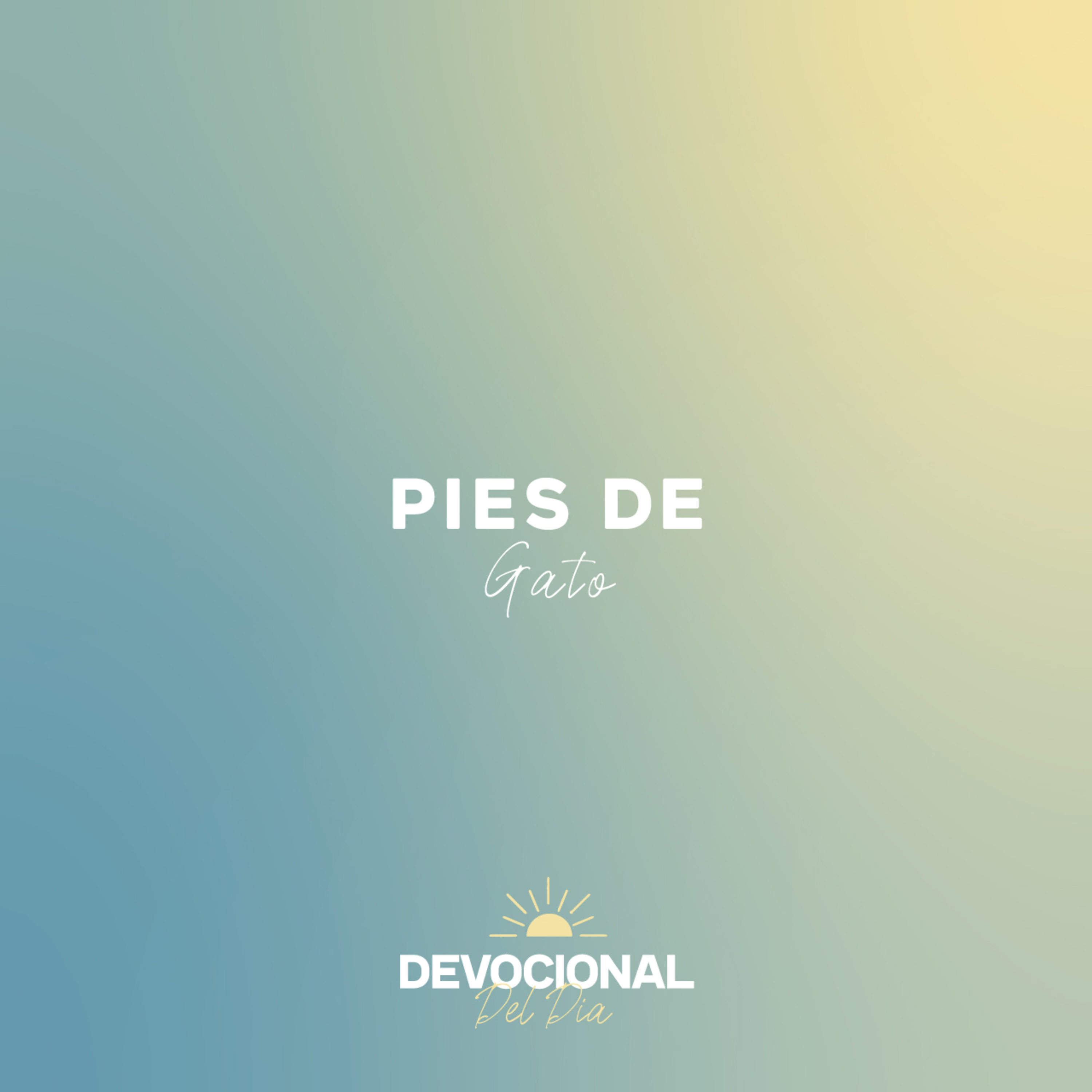 Portada de Devocional Del Día
