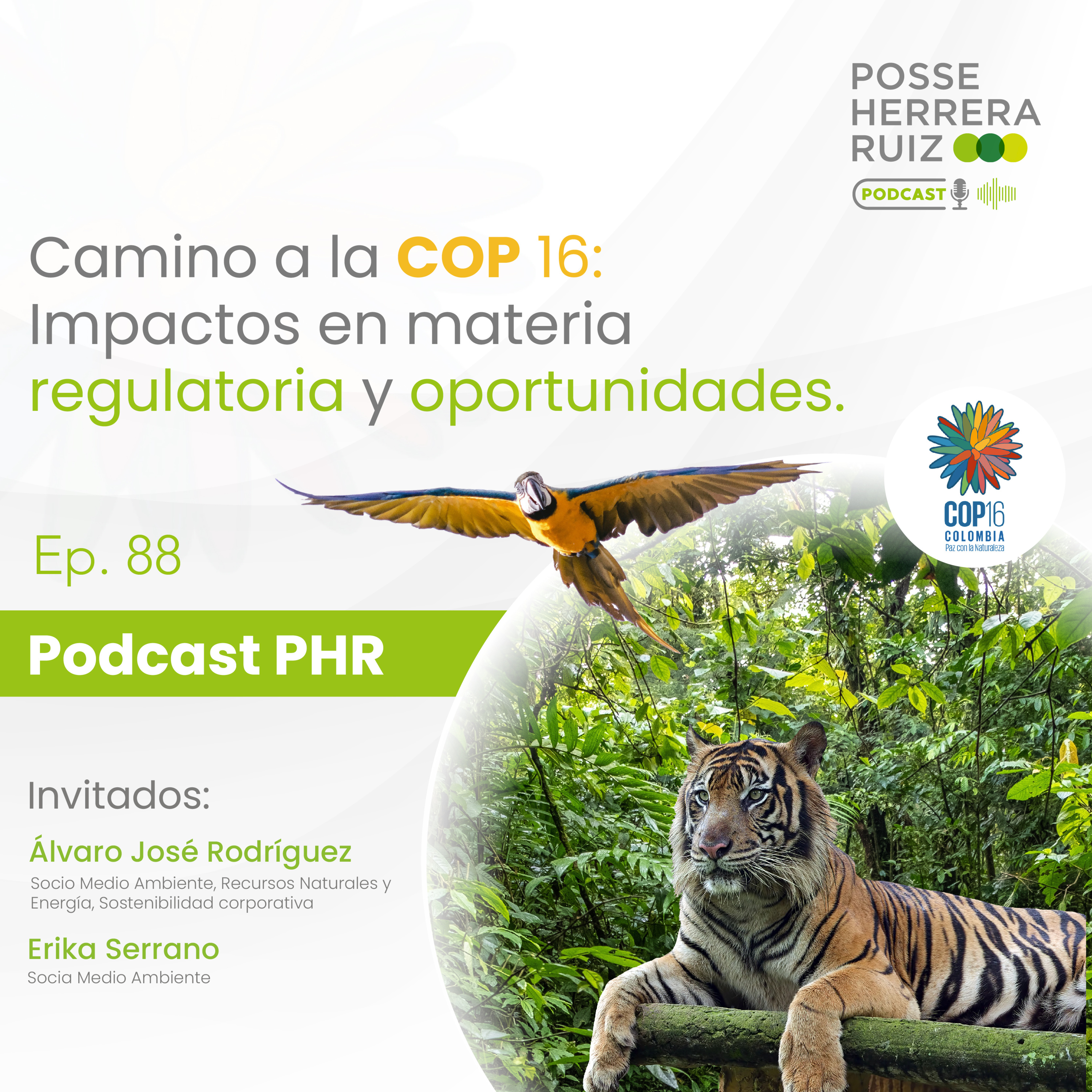 Ep 88. Camino a la COP 16: Impactos en materia regulatoria y oportunidades.