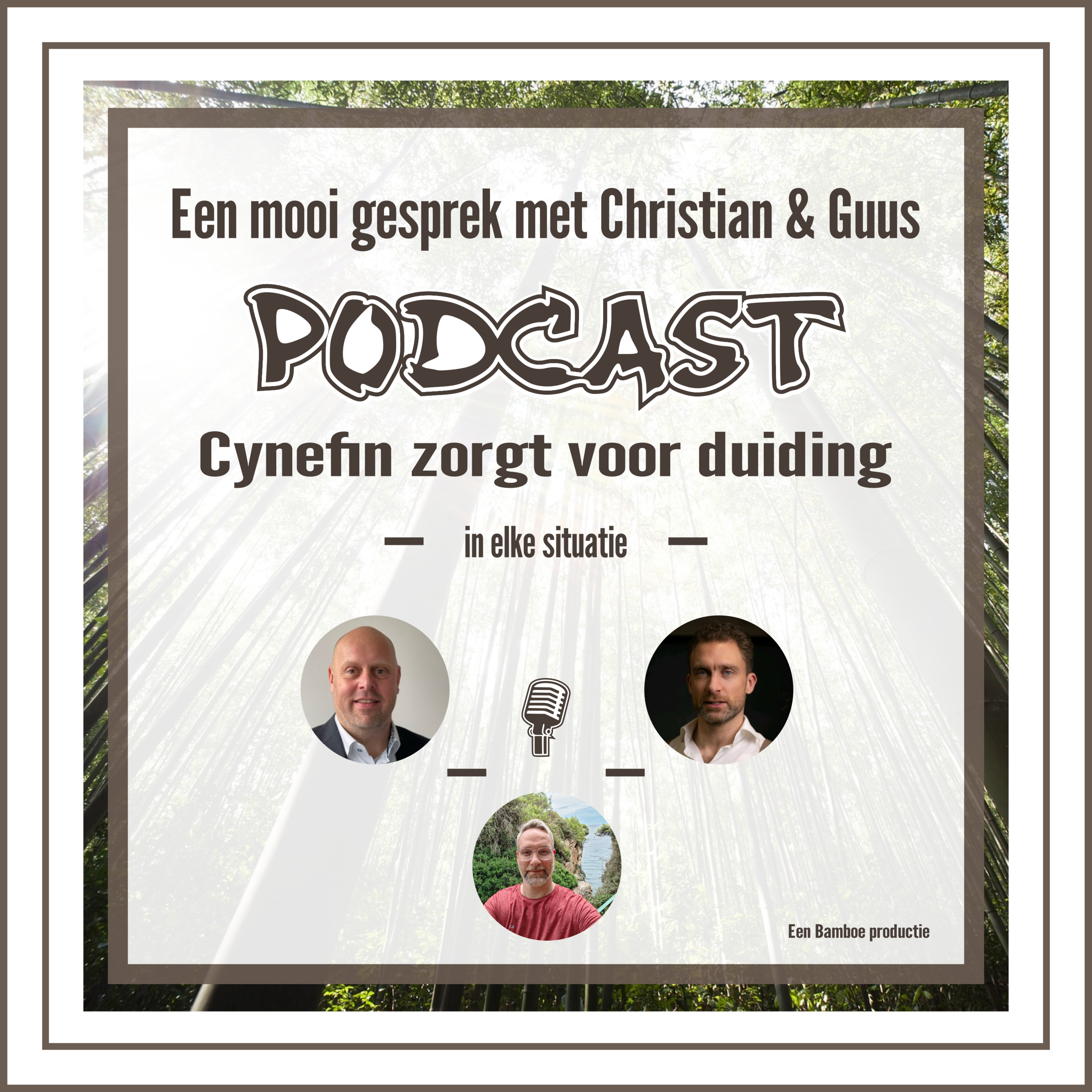 Cynefin ontleed: Van boter-kaas-en-eieren tot een kinderfeestje episode artwork