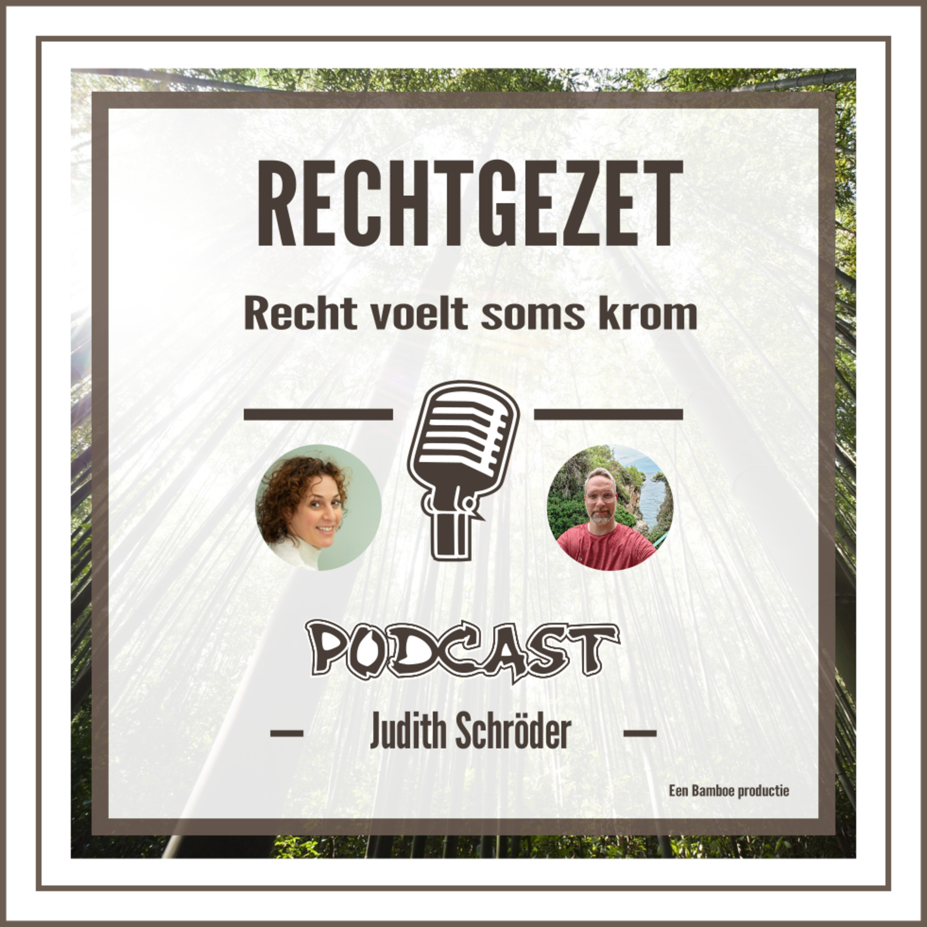 Rechtgezet - Recht voelt soms krom episode artwork