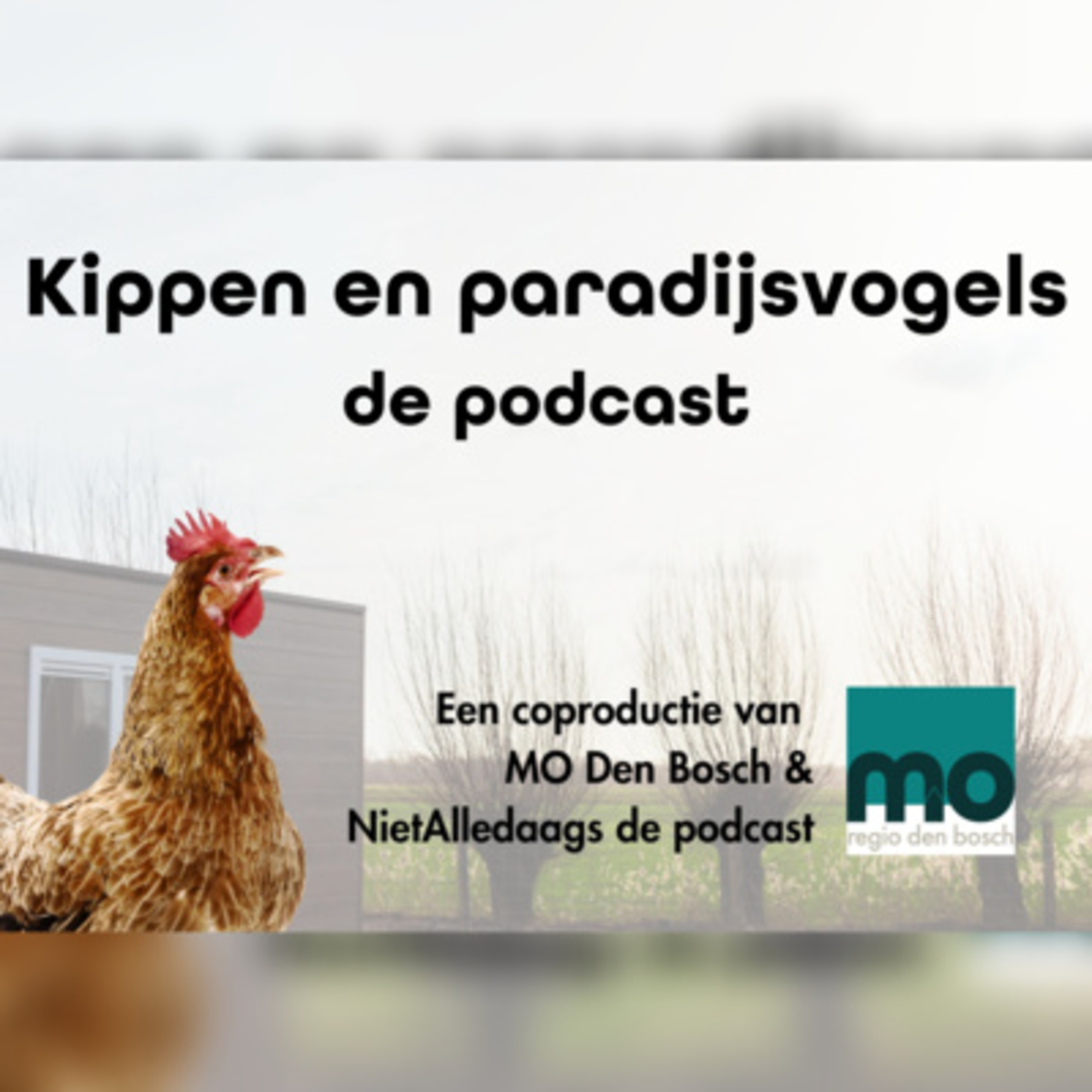 NietAlledaags de podcast