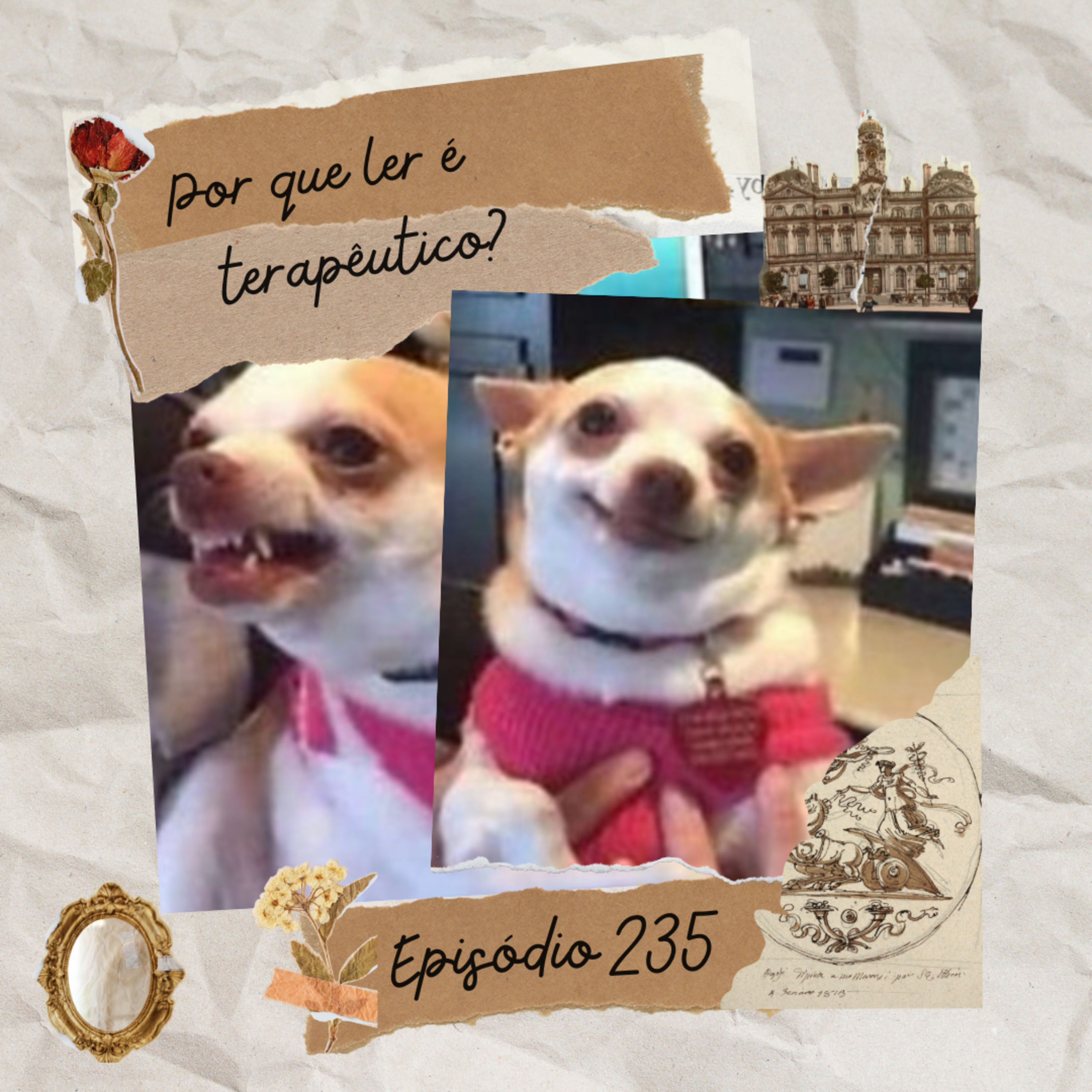 #235 Por que ler é terapêutico?