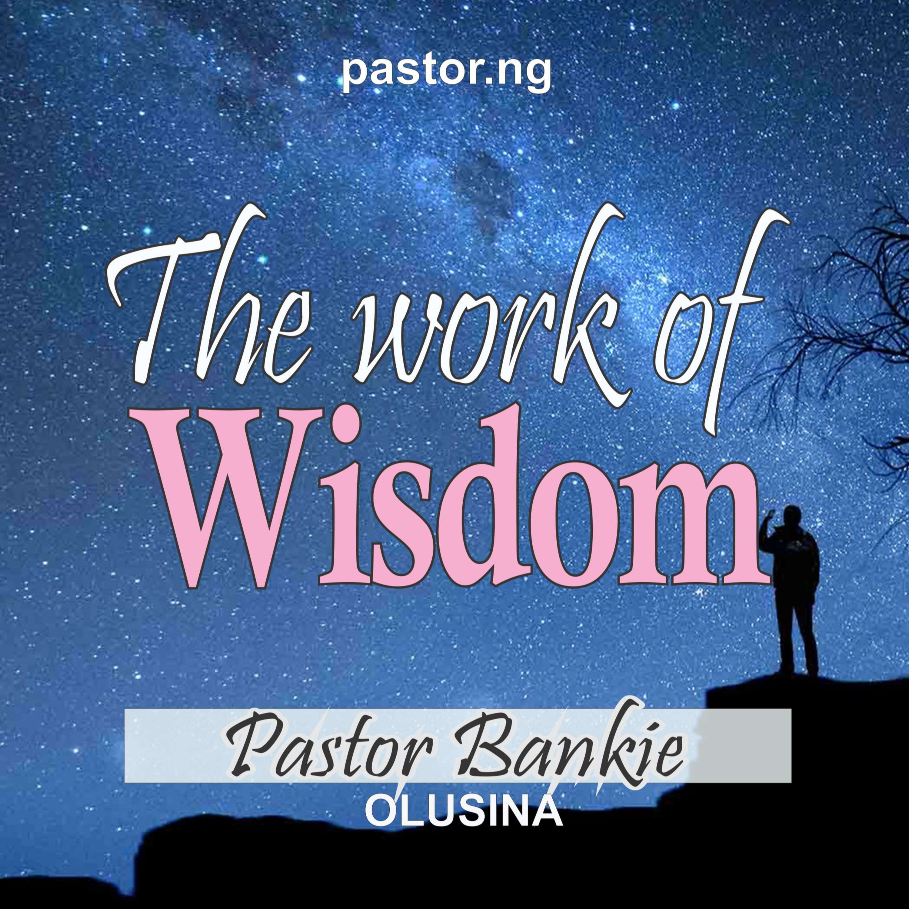 The Work of Wisdom 8. Christ’s wisdom and the Christian’s cross episode artwork