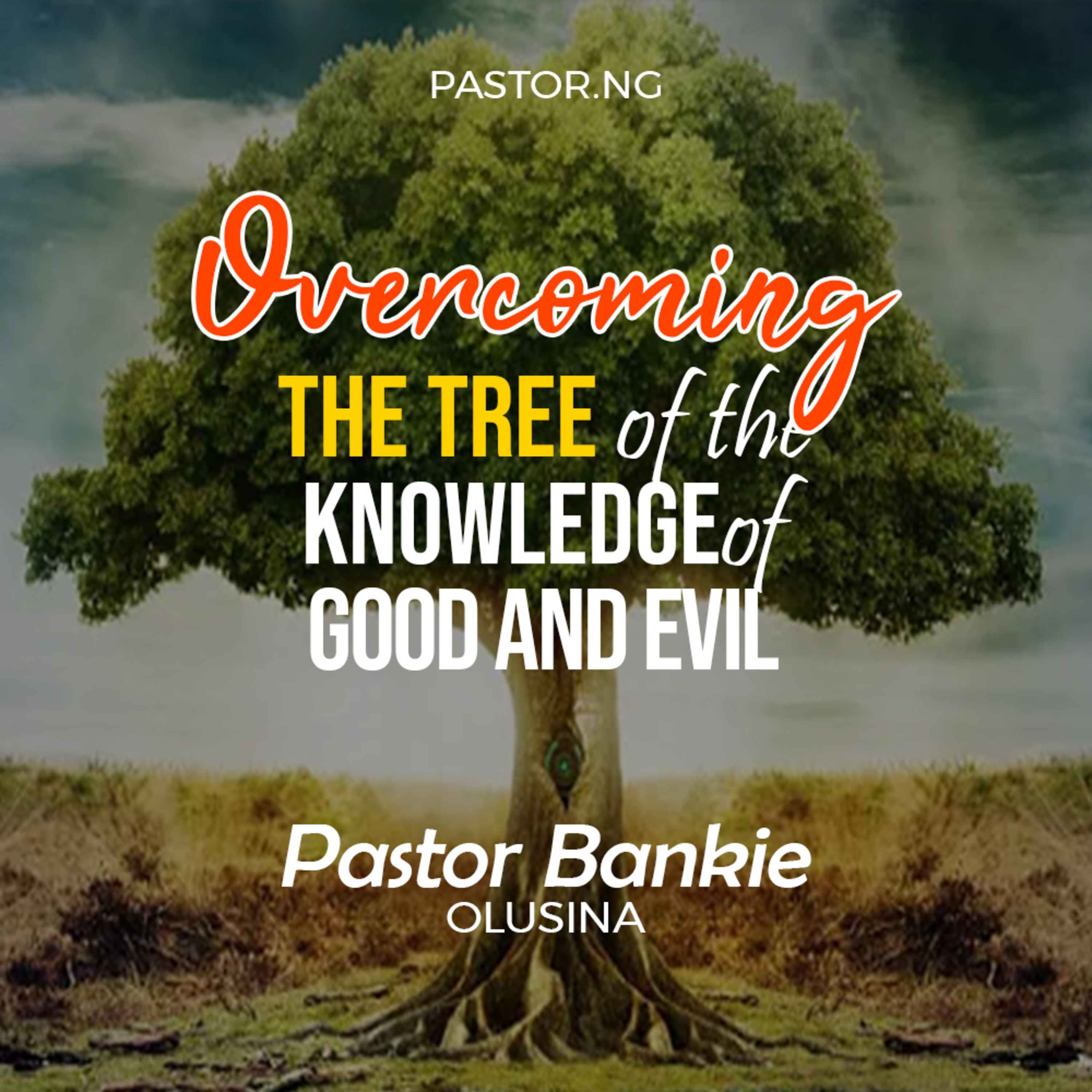 Overcoming the Tree... of good and evil - 5 (The rules of the garden life ) episode artwork