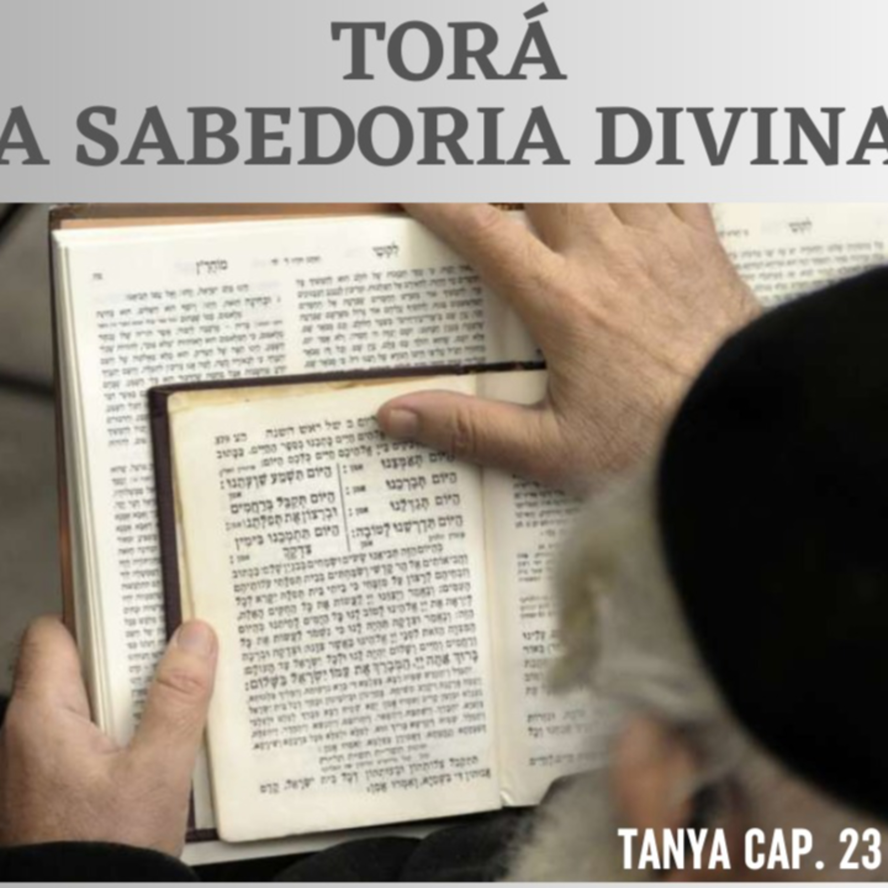 TORÁ A SABEDORIA DIVINA. GPS PARA A ALMA CAP. 15, TANYA cap 23