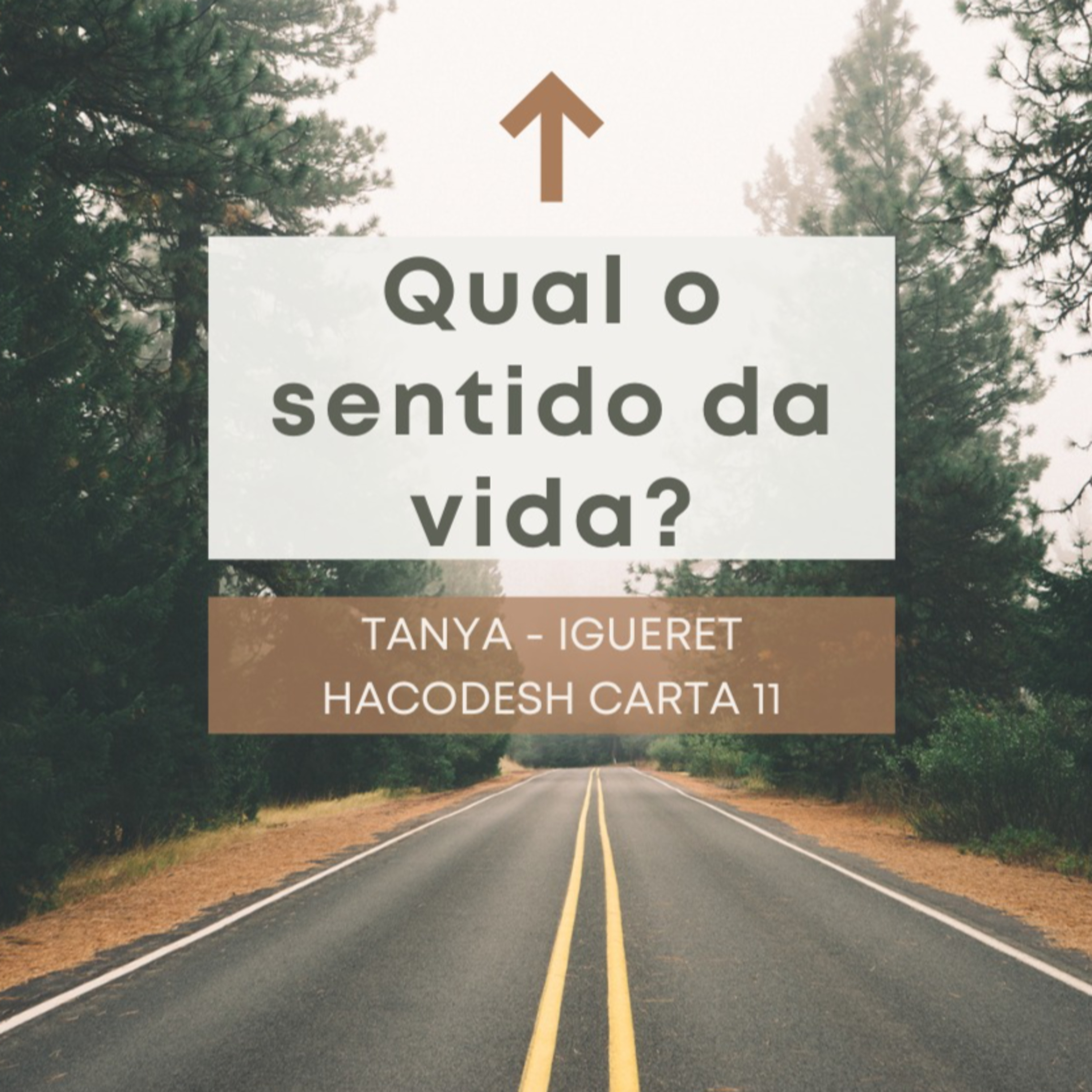 QUAL O SENTIDO DA VIDA? Tanya - Igueret Hacodesh carta 11 episode artwork