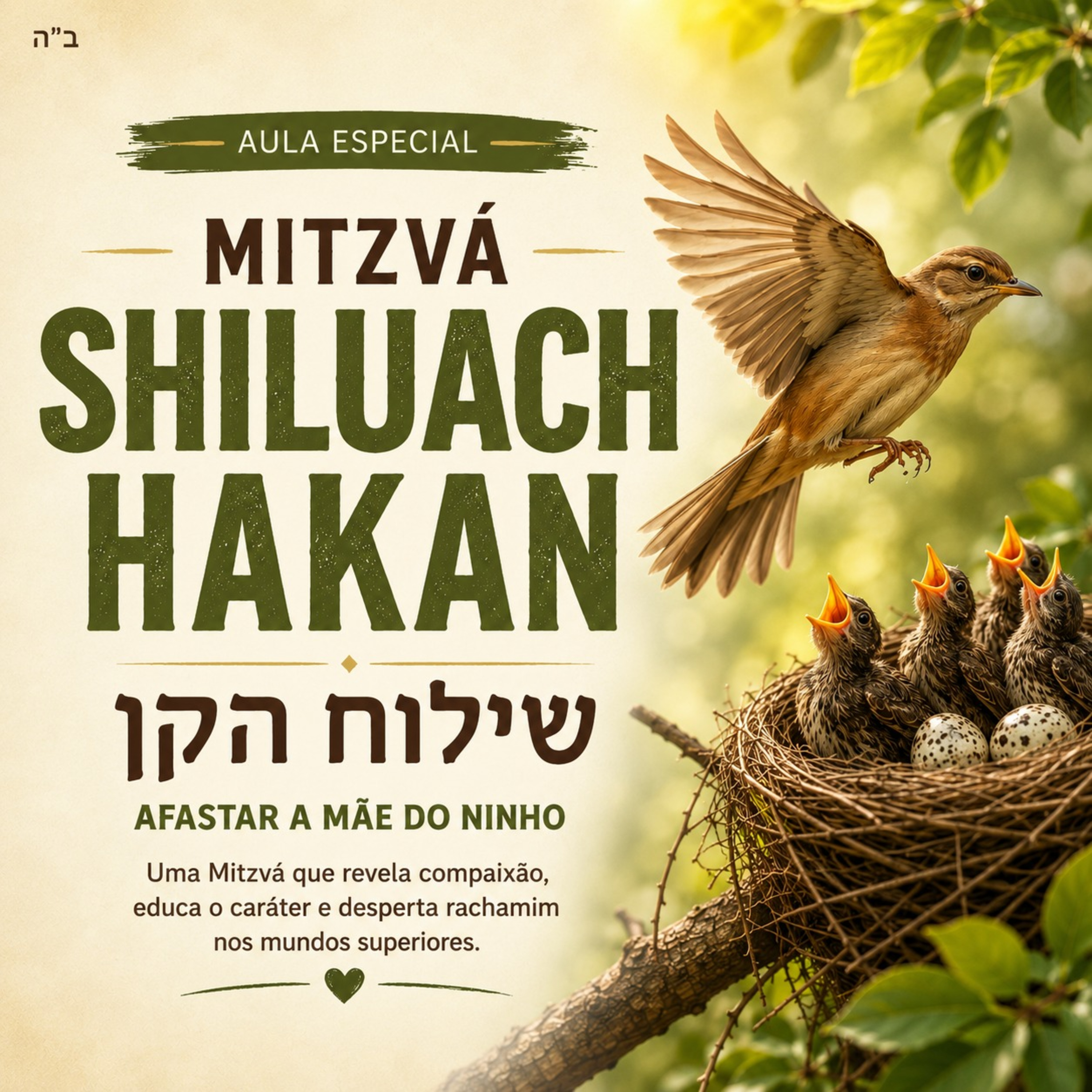 A Mitzvá do Ninho: O Segredo Espiritual de Shiluach HaKan episode artwork