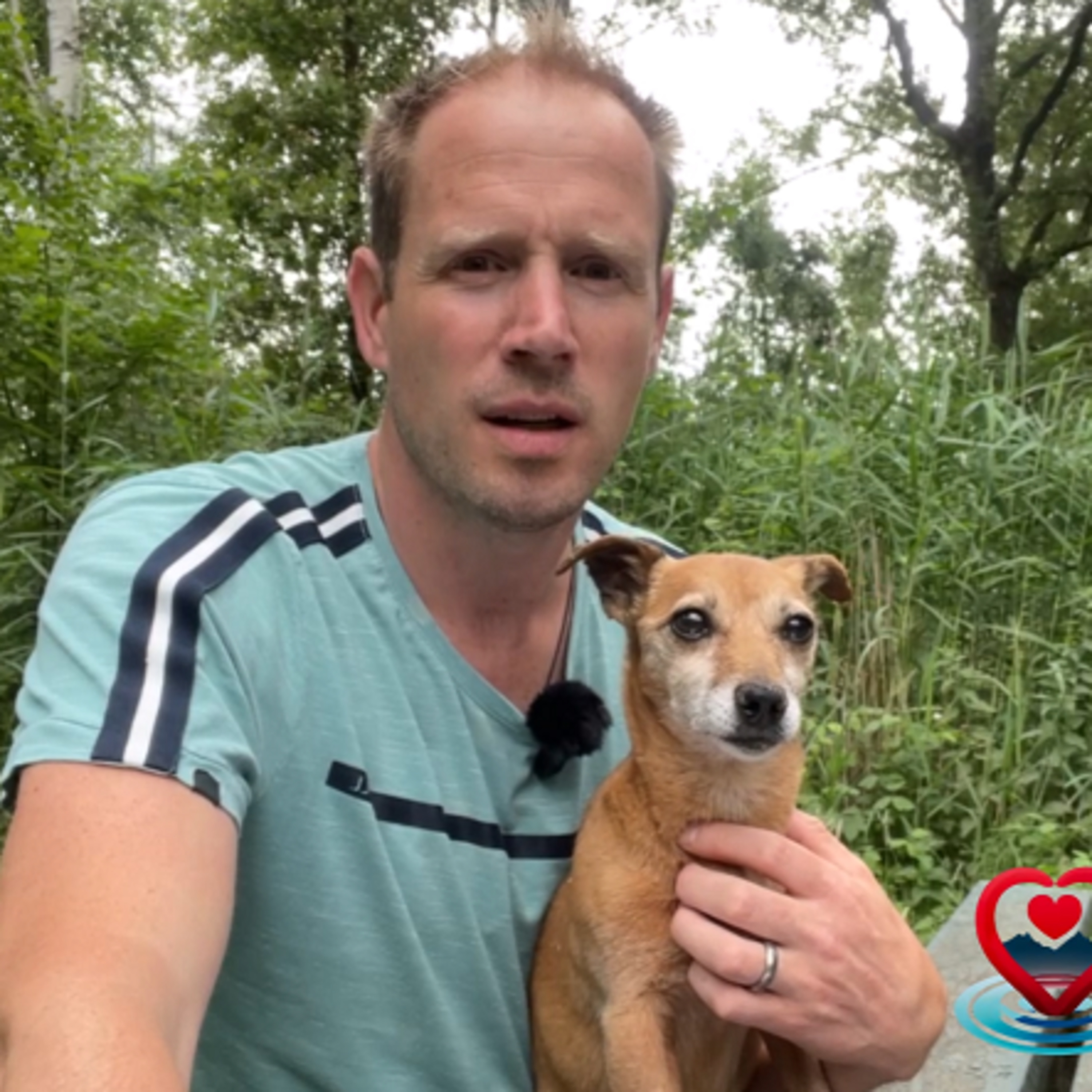 Verwonder je over het leven