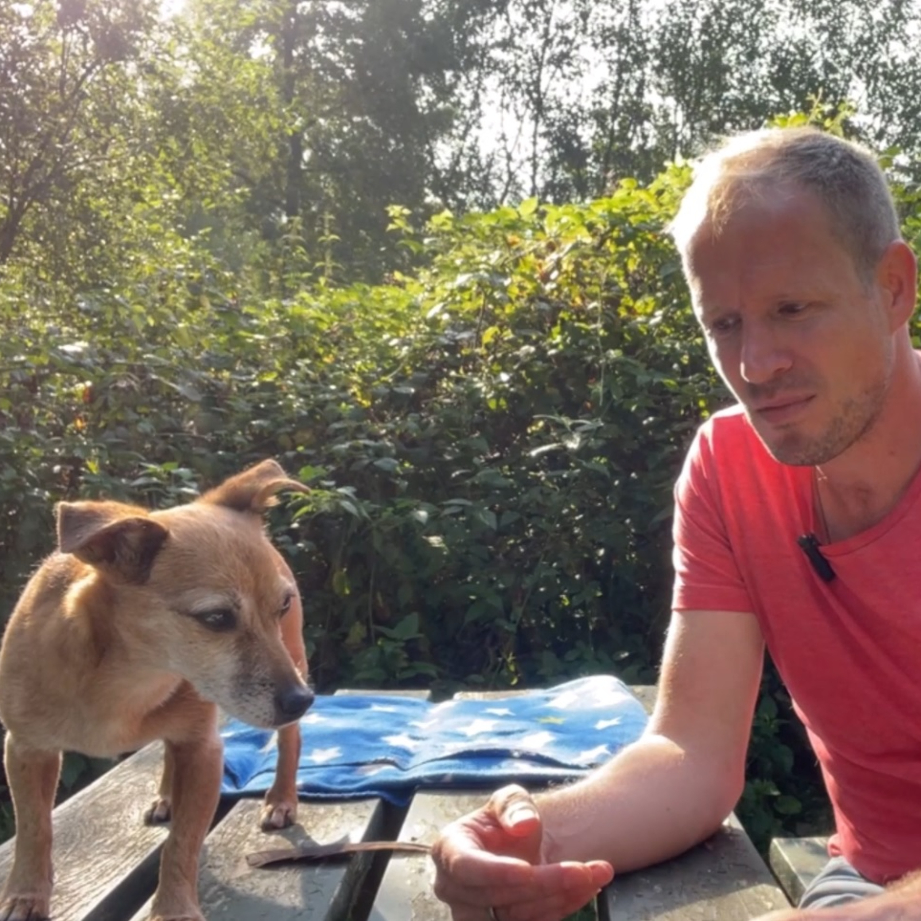 Verwonder je over het leven