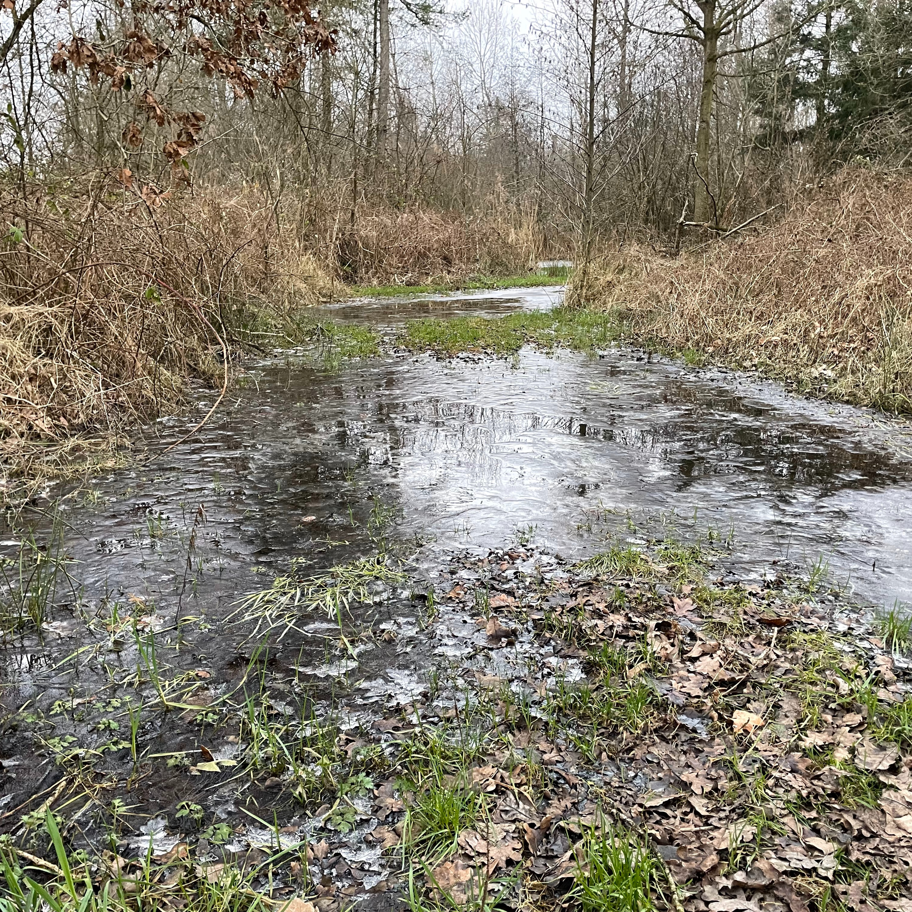 Verwonder je over het leven