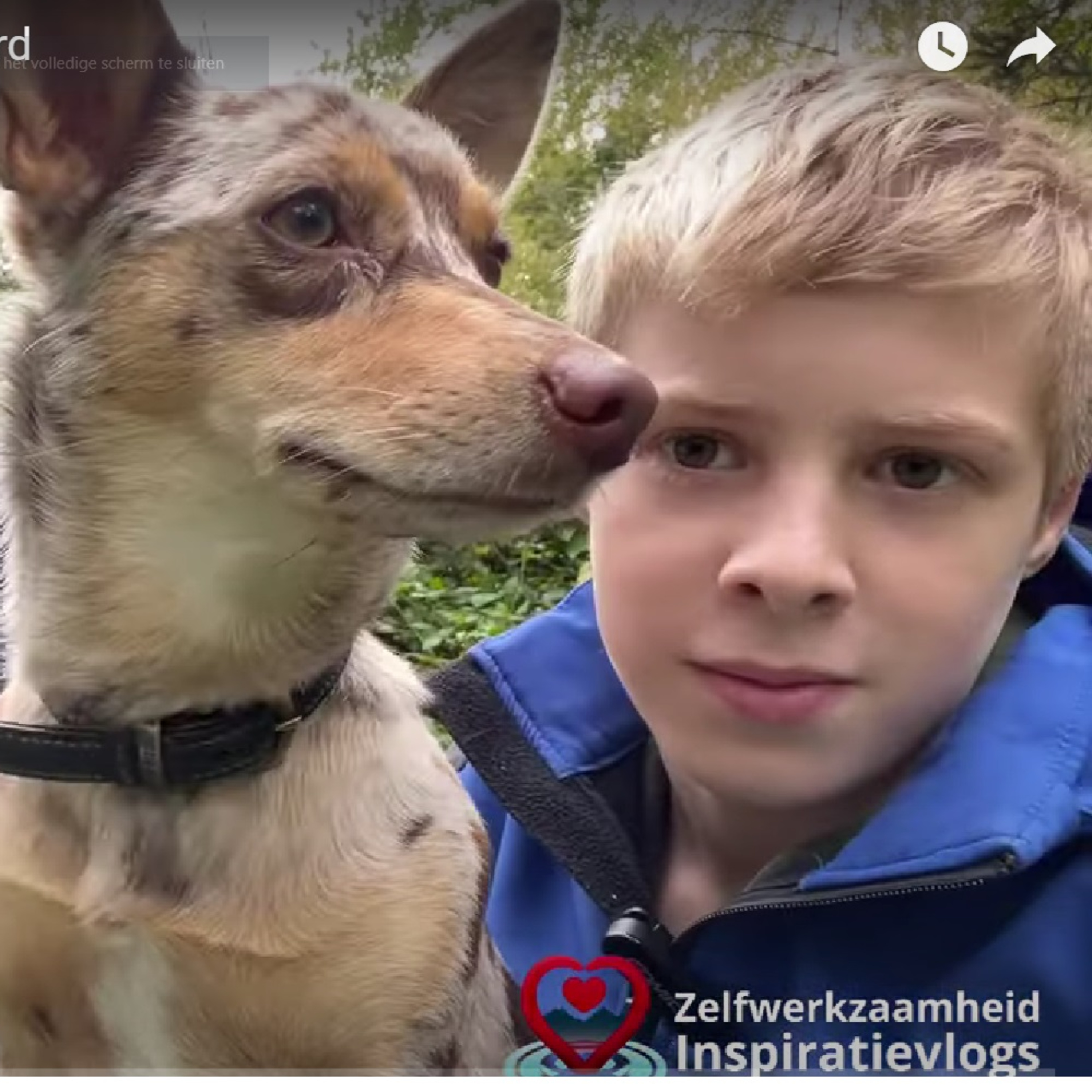Verwonder je over het leven