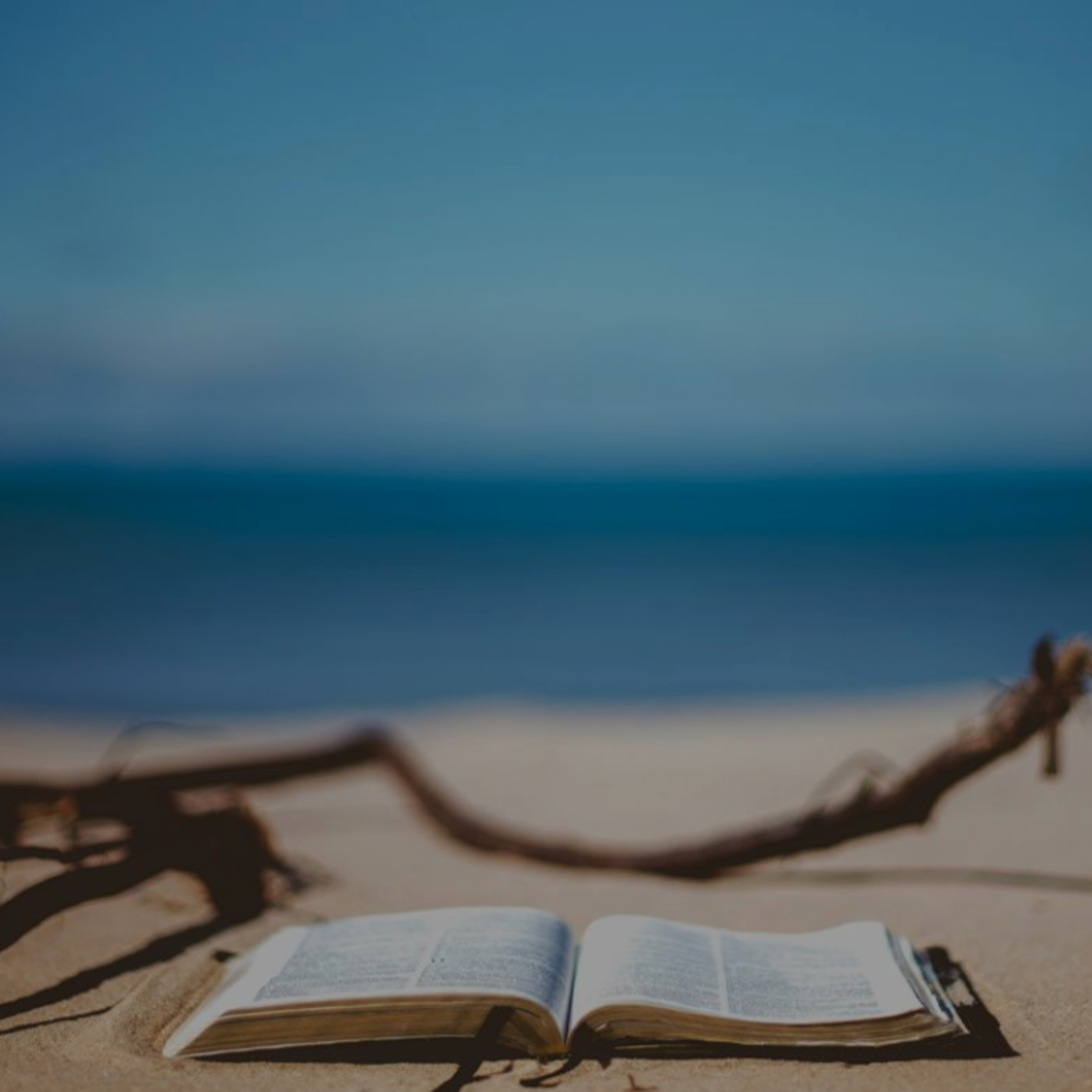 Evangelija visiems (1 Tim 2, 1-7)