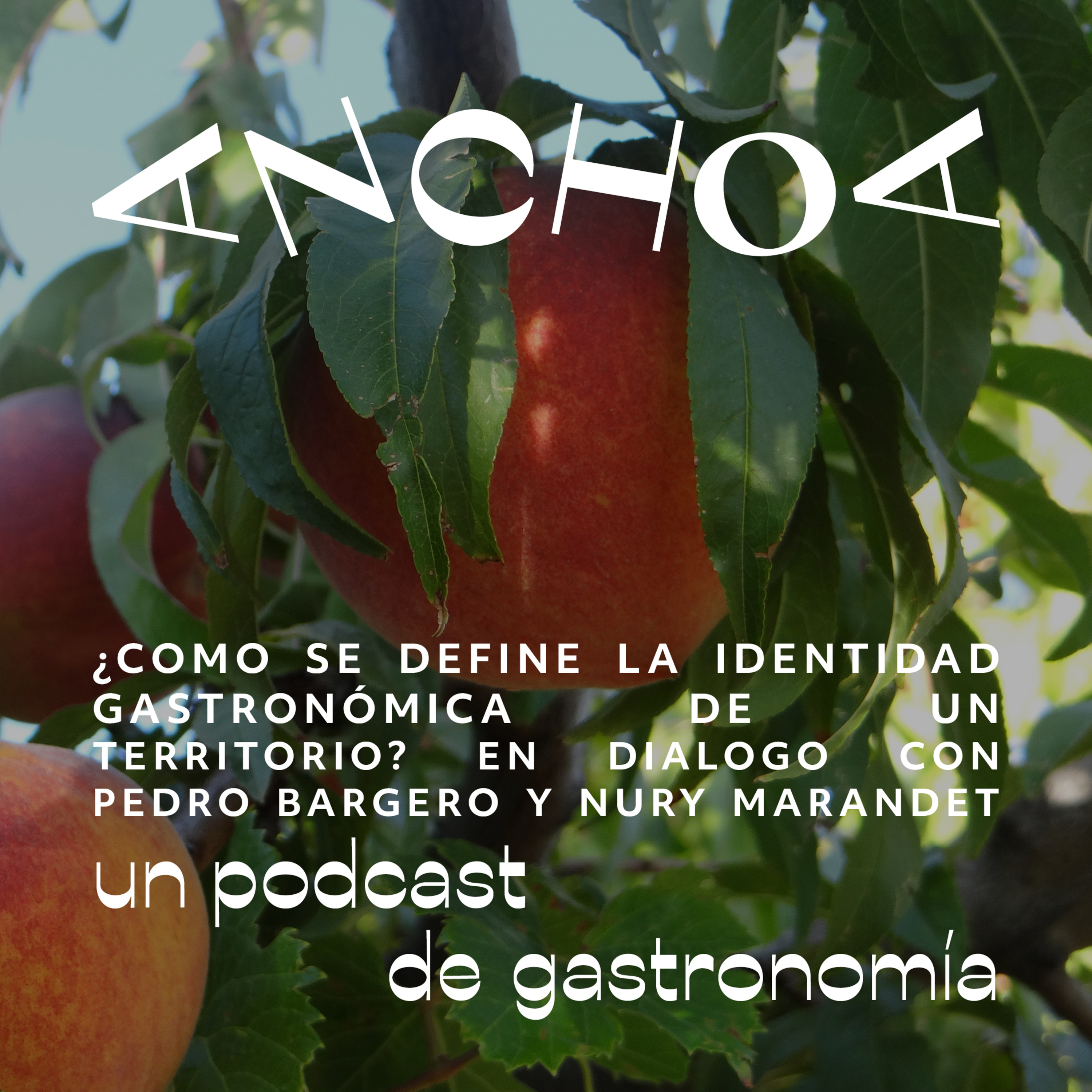 Portada de Anchoa Podcast