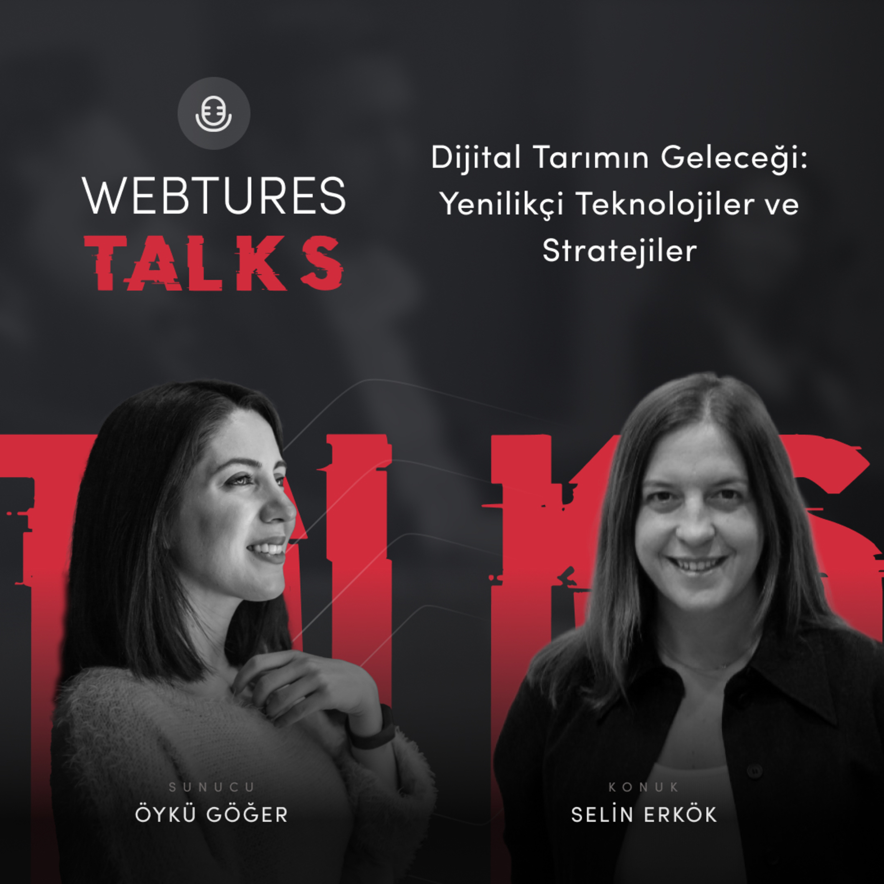 Webtures AI Talks podcast cover