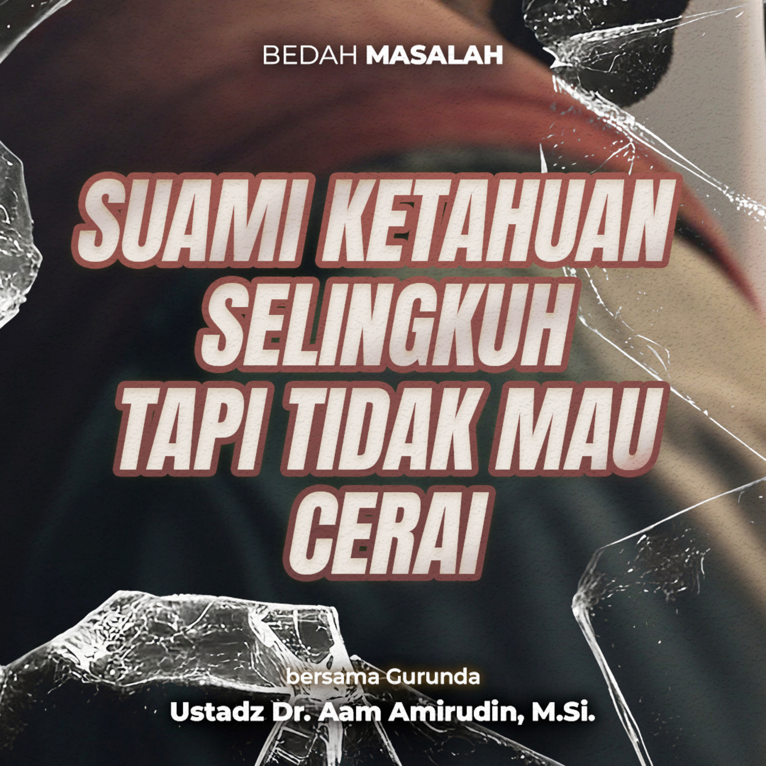 Aam Amirudin Official