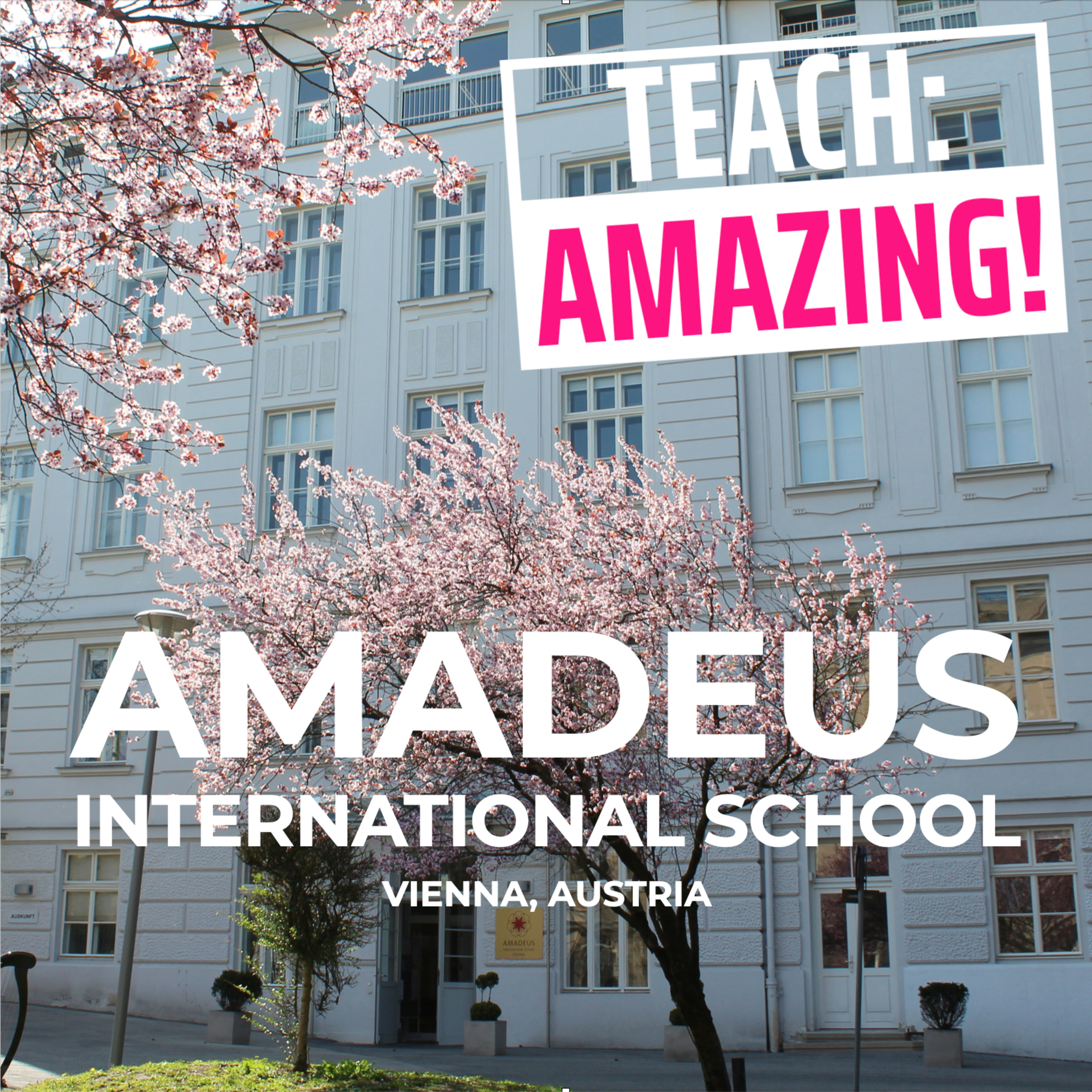 Teach:Amazing!
