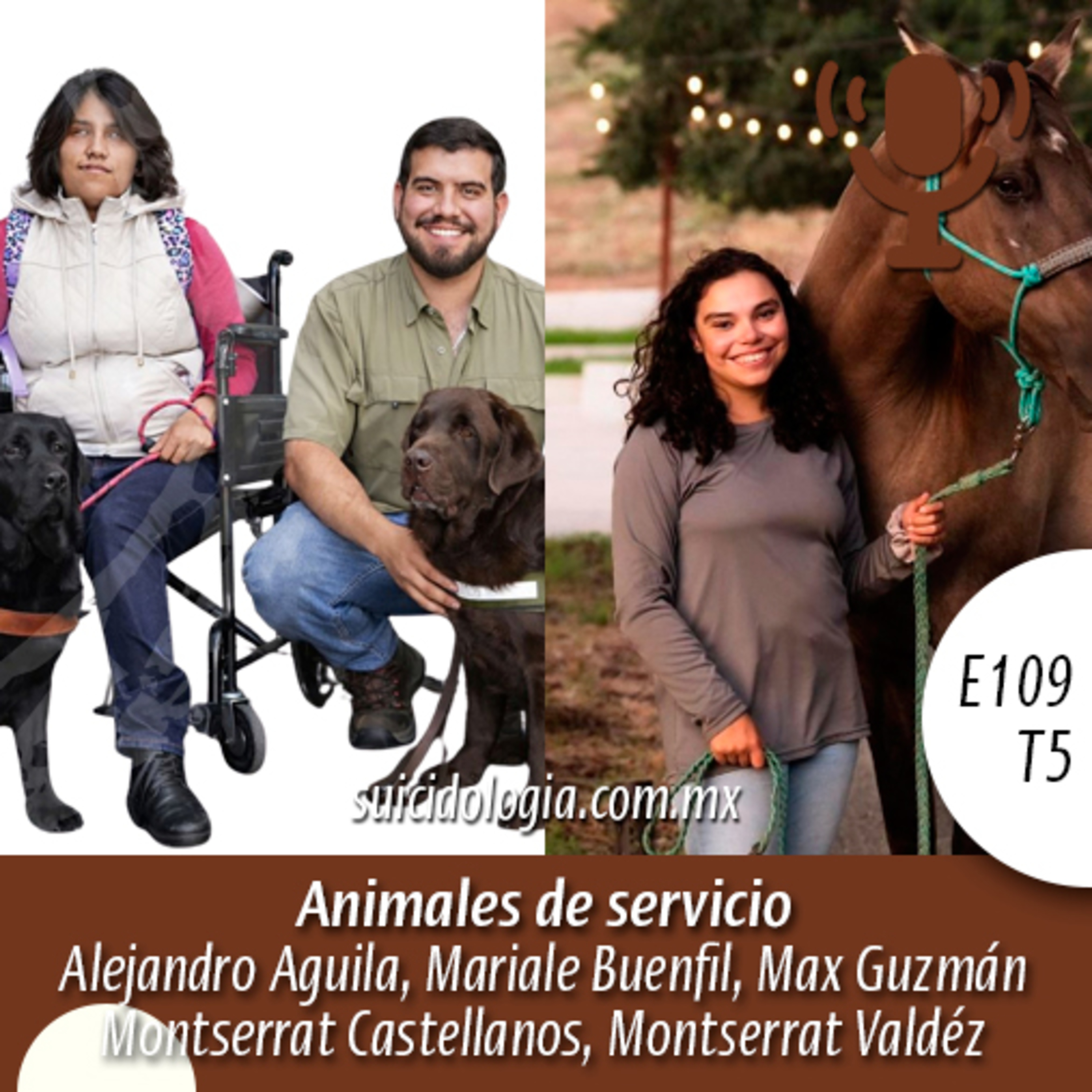 Suicidio | Suicidologia: Prevención del Suicidio