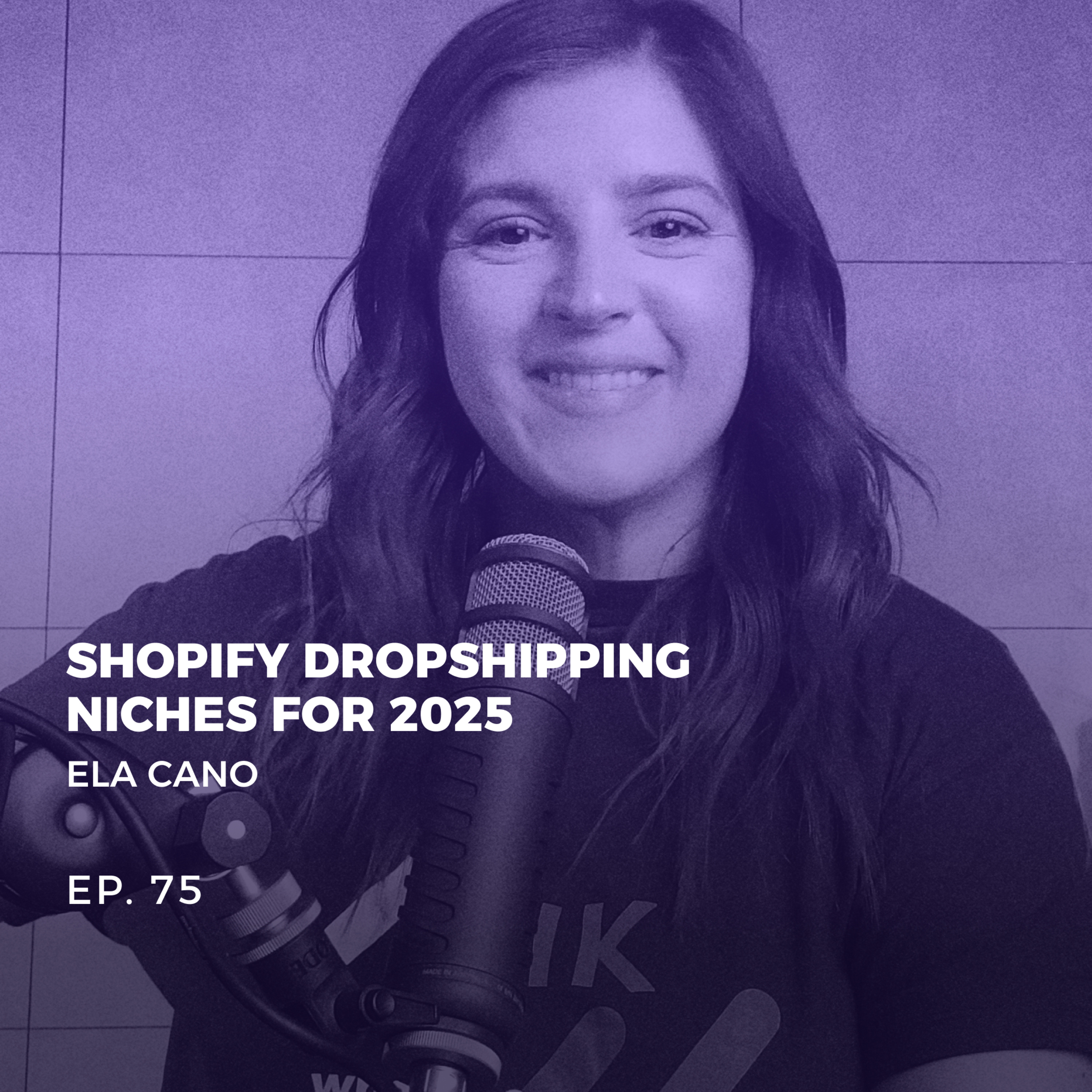#75 Unsaturated Shopify Dropshipping Niches To Sell In 2025 [$100K/M Potential] episode artwork