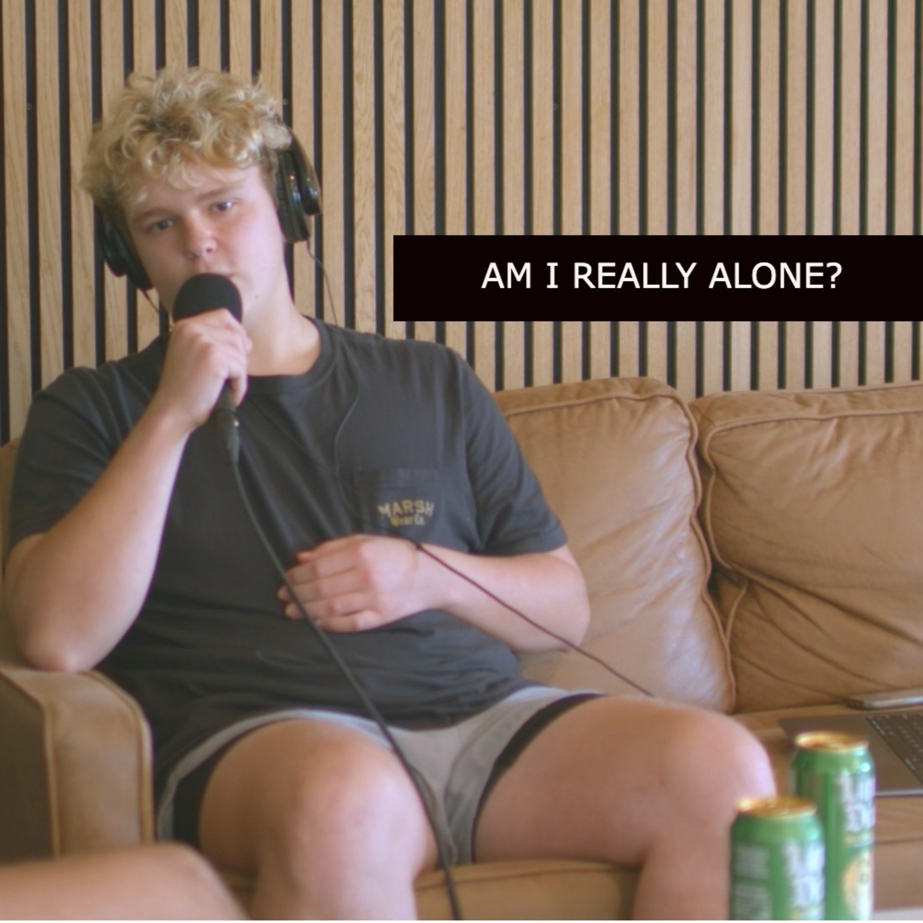 AM I REALLY ALONE? episode artwork