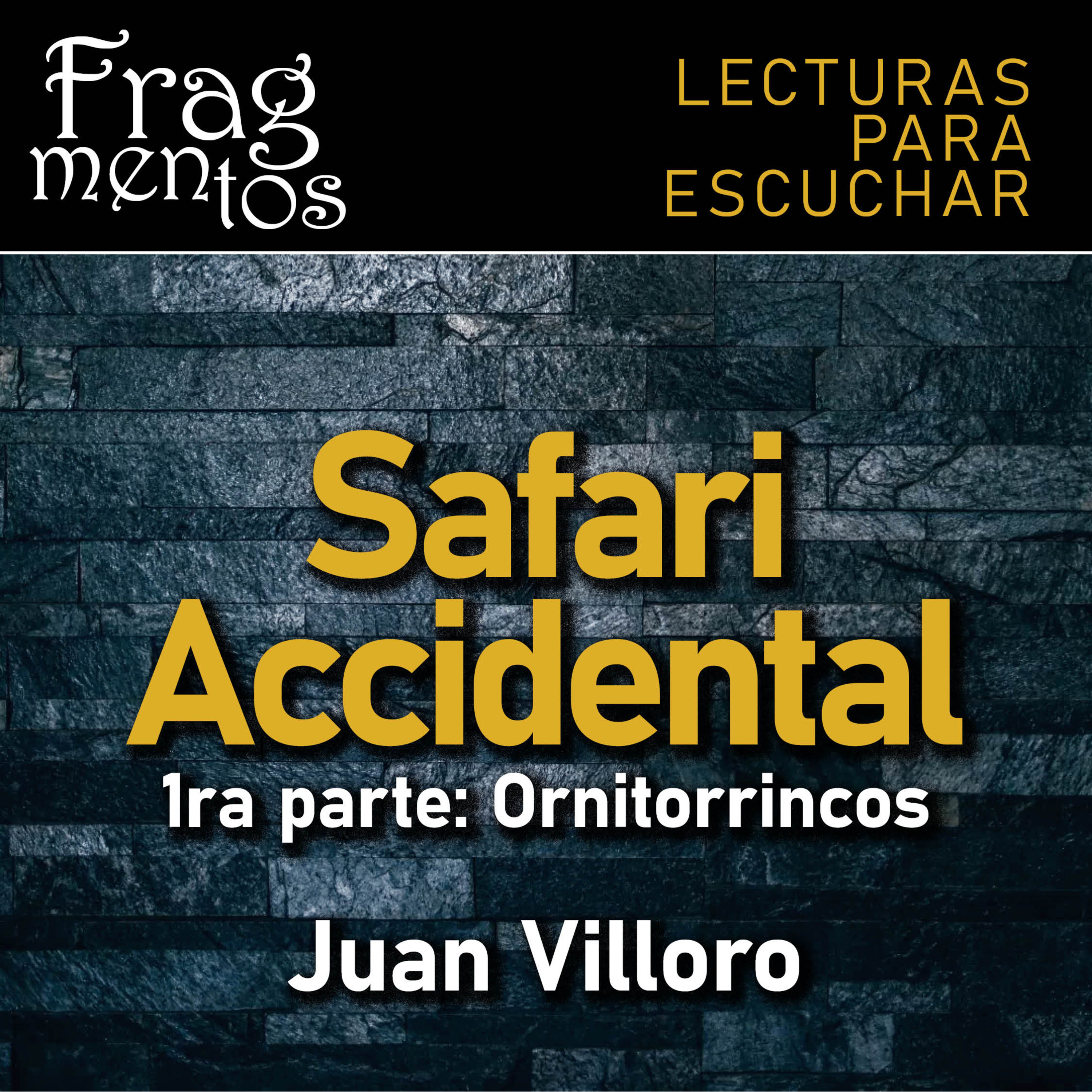 Fragmentos. Lecturas para escuchar