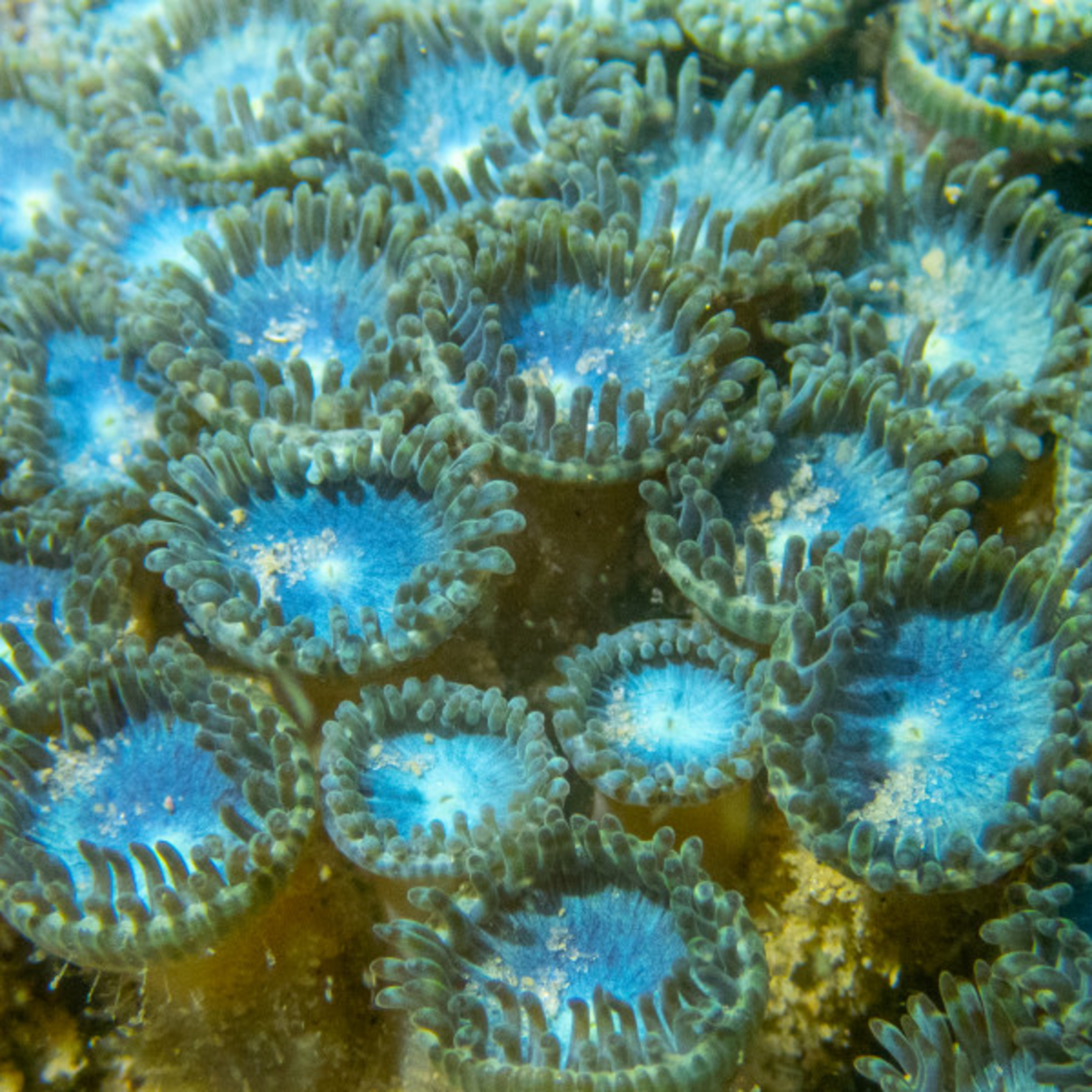 Palavra de Cientista