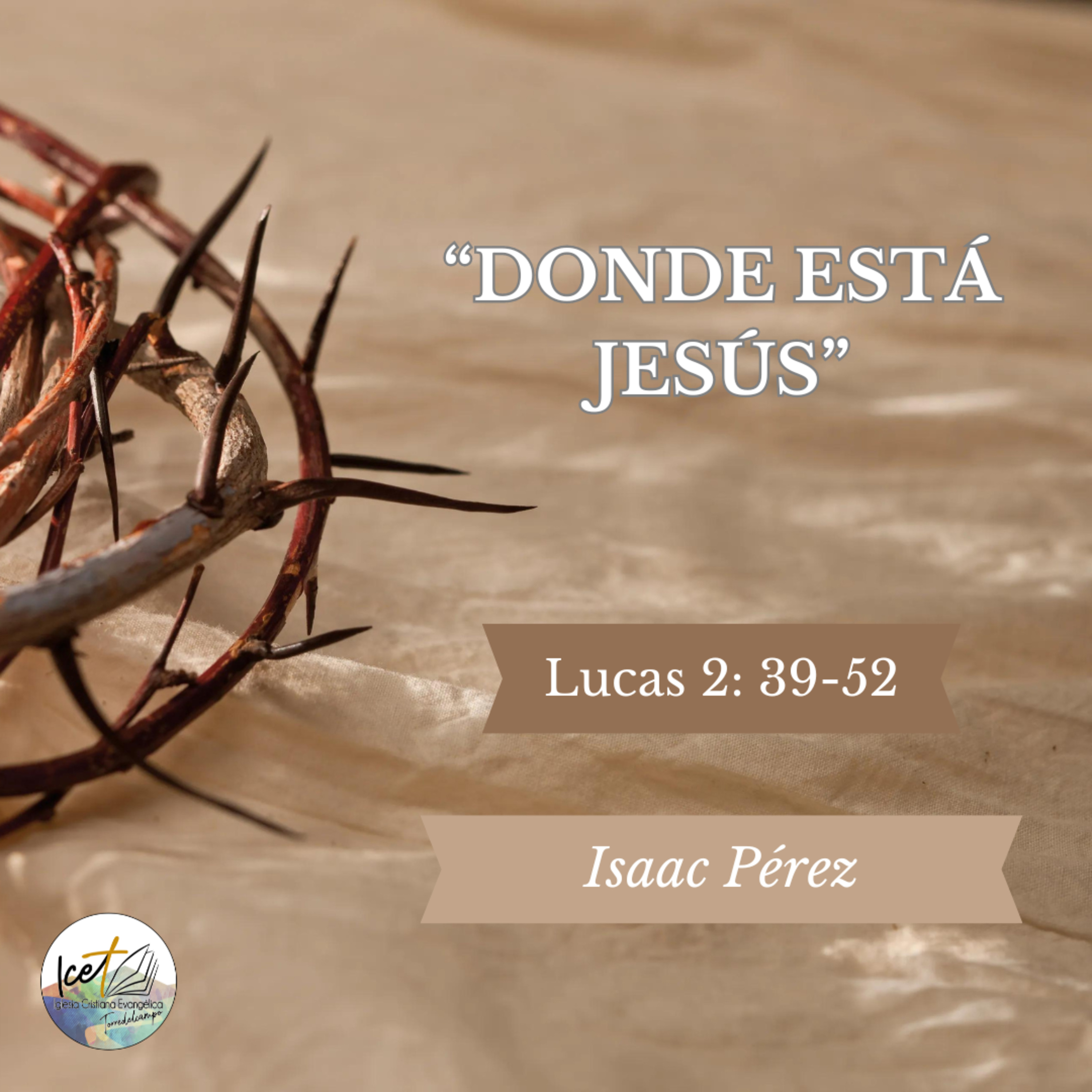 ICET - Serie De Predicaciones Expositivas