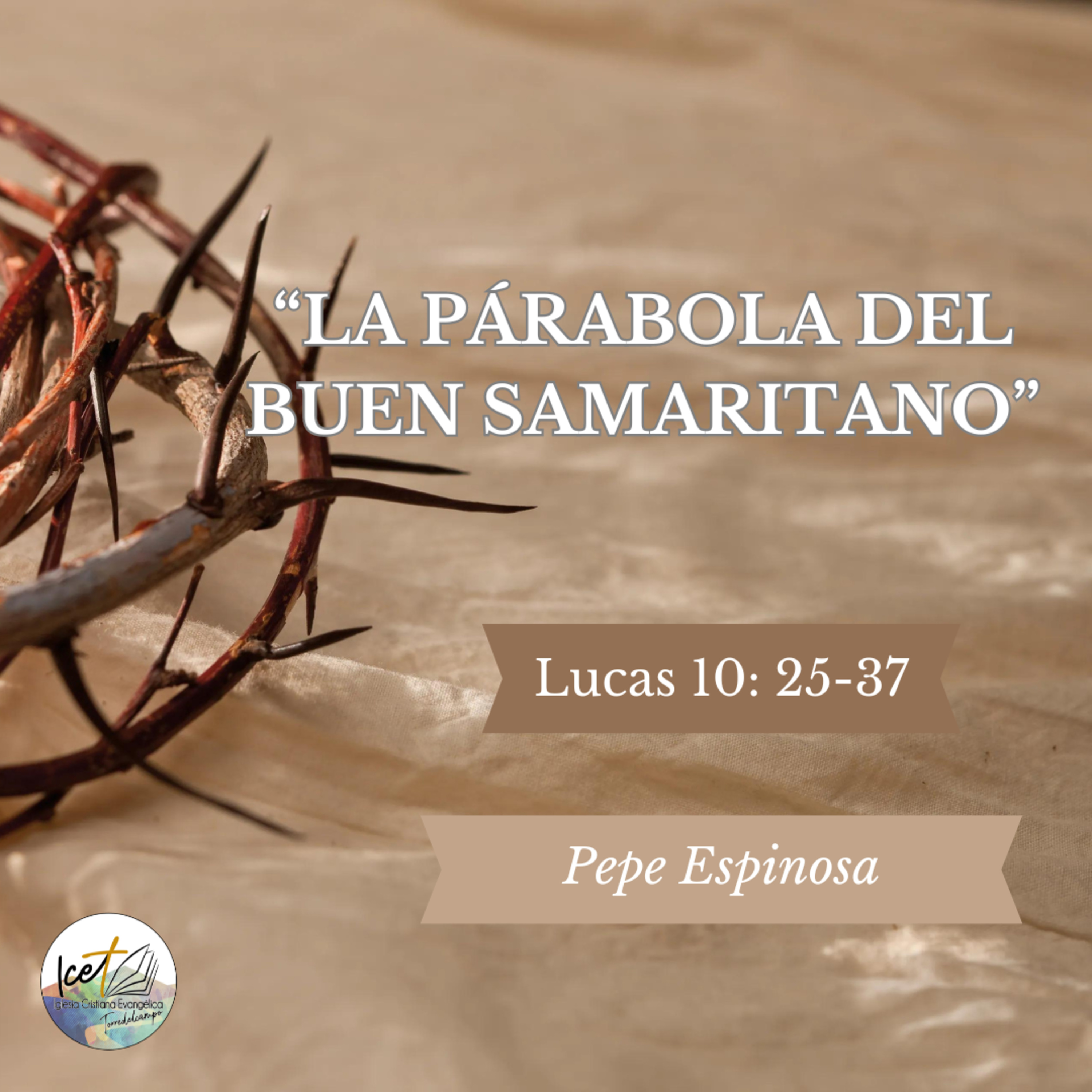 Portada de ICET - Serie De Predicaciones Expositivas