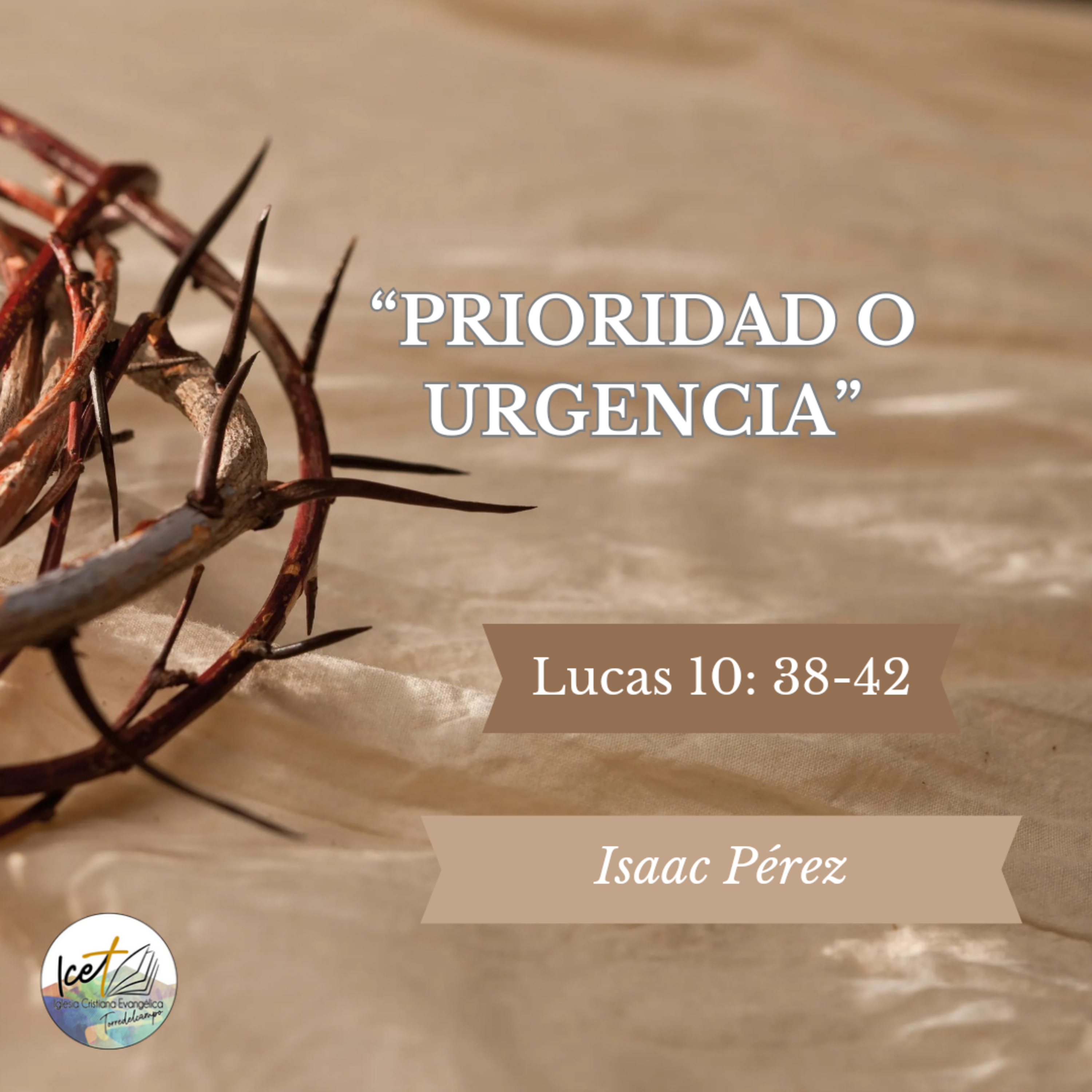 Portada de ICET - Serie De Predicaciones Expositivas